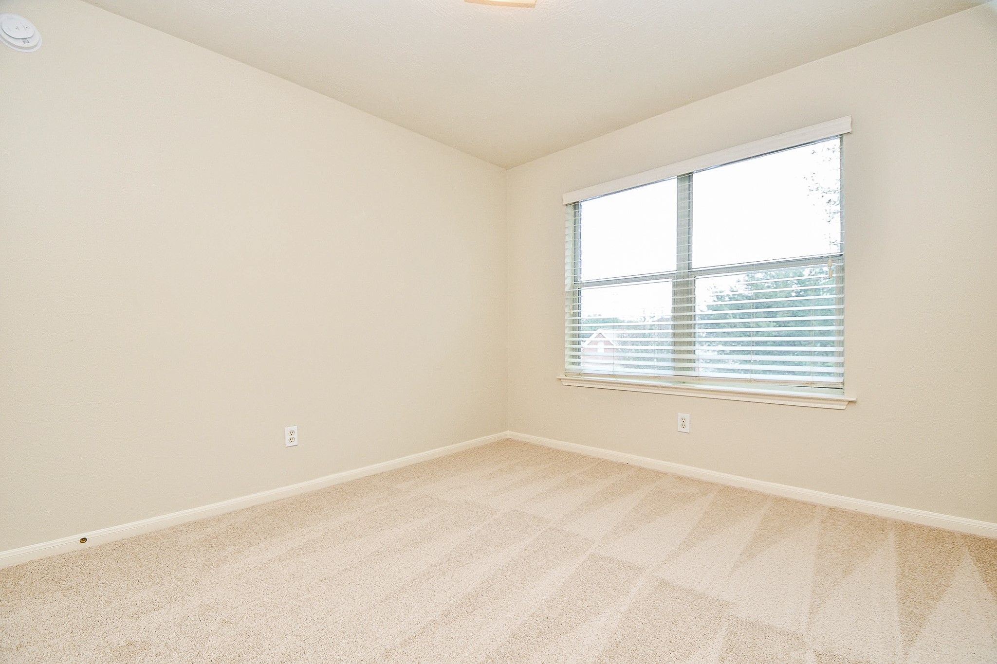 2707 Silk Tree Lane Property Photo 21