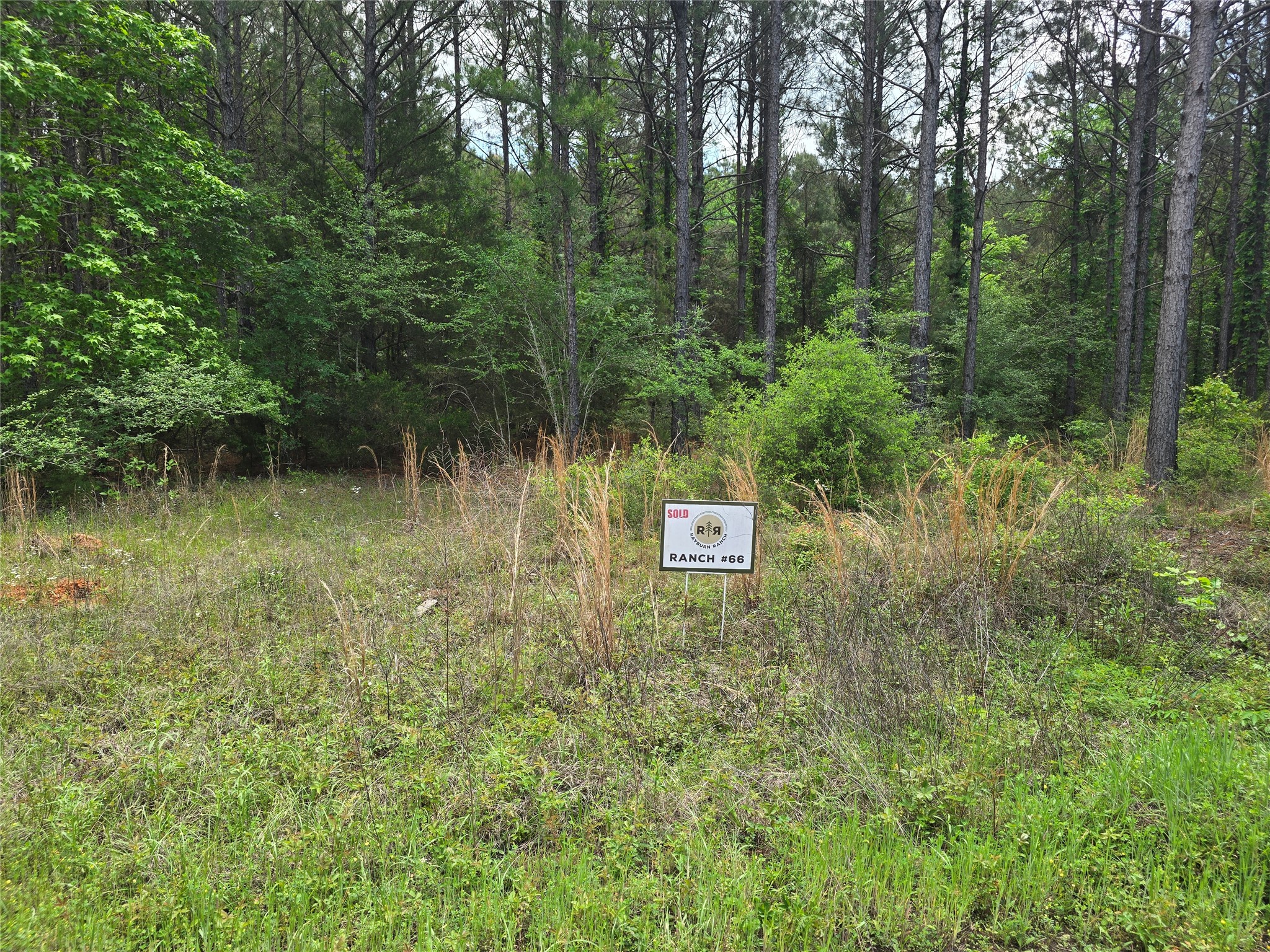 66 Cr 4248 Property Photo 8