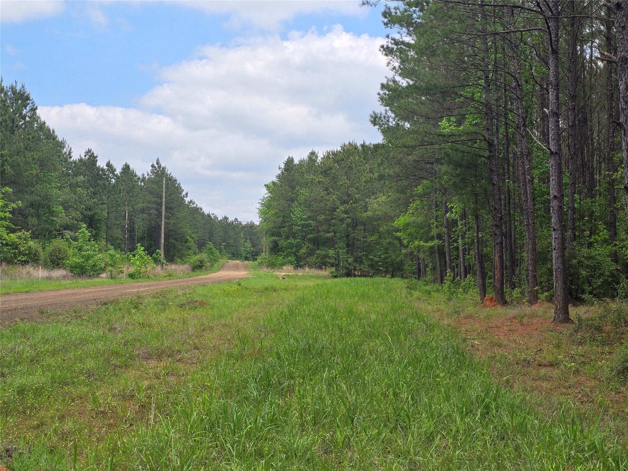66 Cr 4248 Property Photo 14