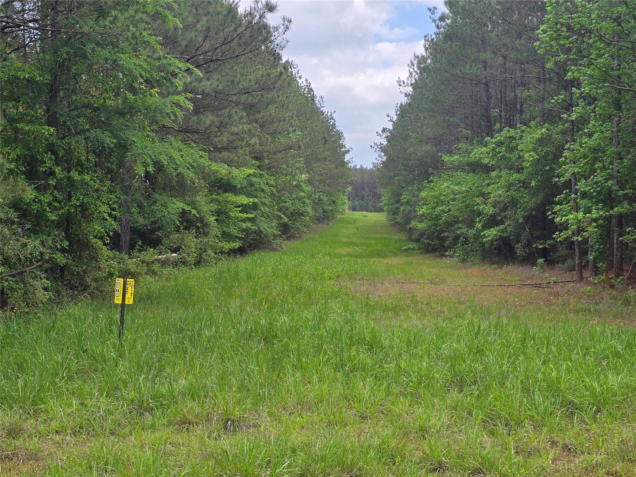 66 Cr 4248 Property Photo 15