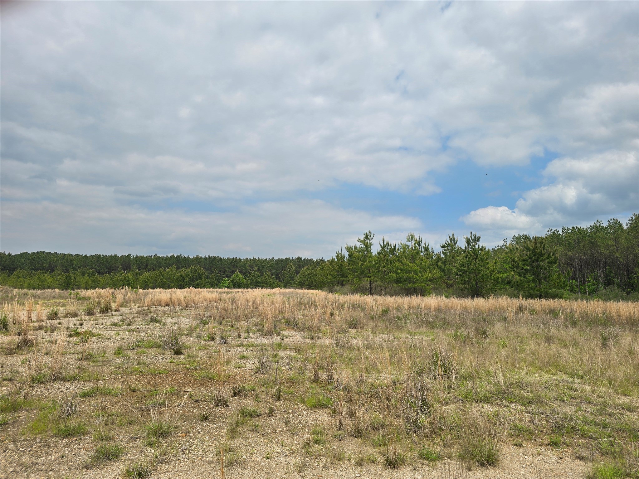 66 Cr 4248 Property Photo 25