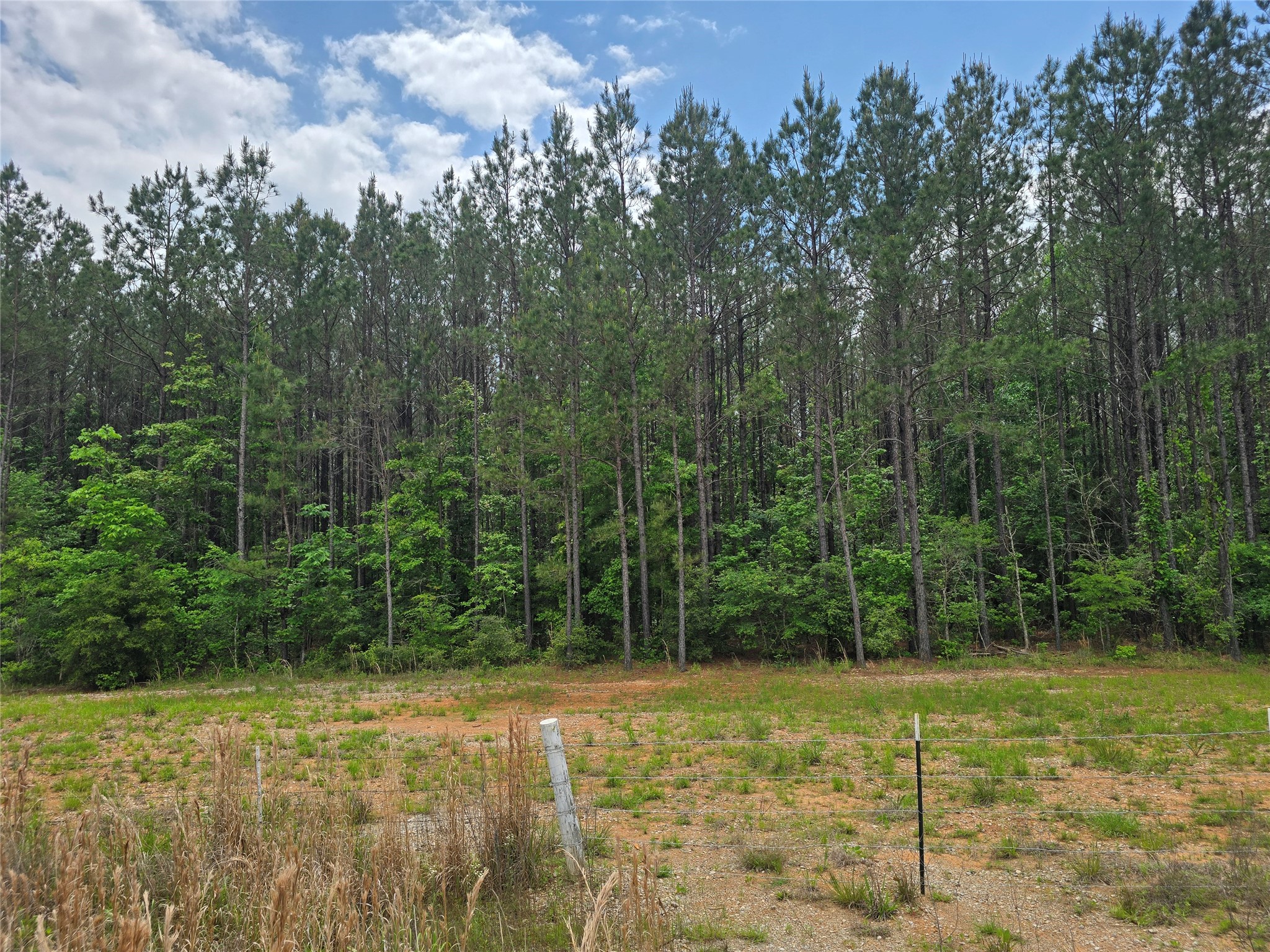 66 Cr 4248 Property Photo 30