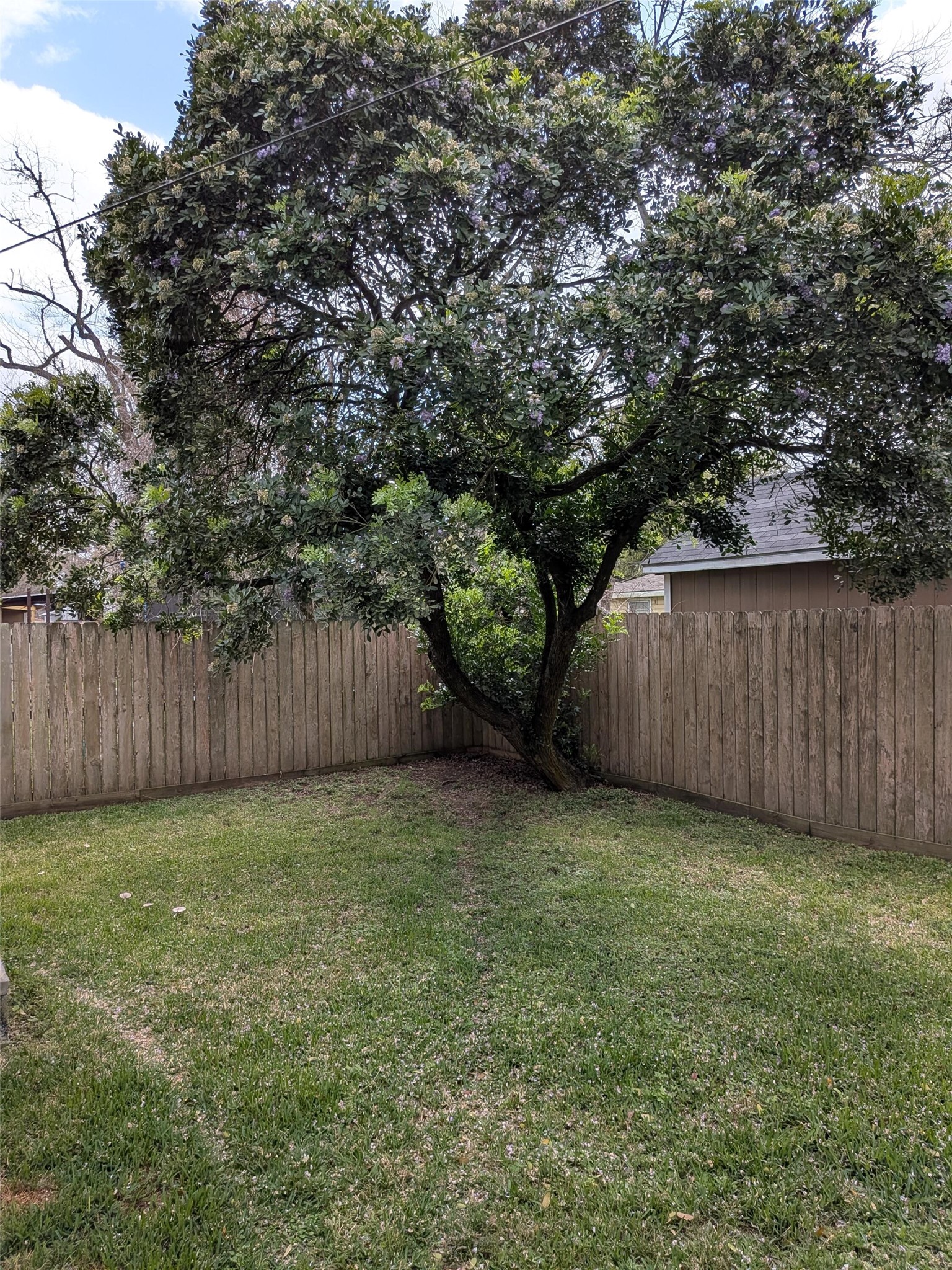 1500 Andrea Drive Property Photo 3