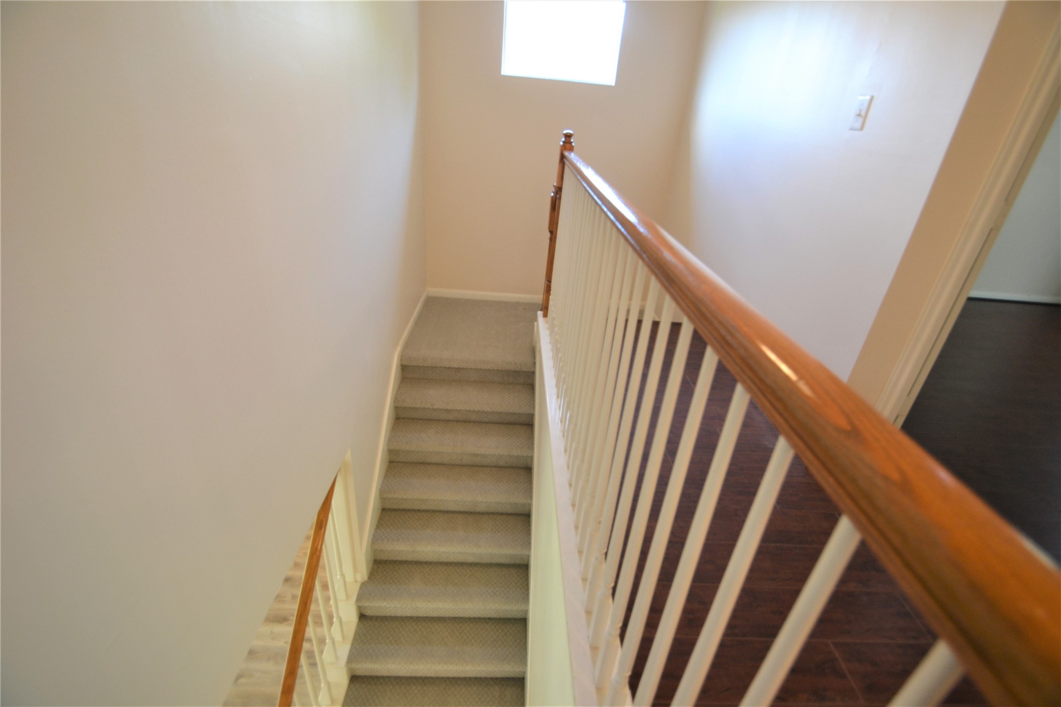5007 Bellmead Drive Property Photo 26