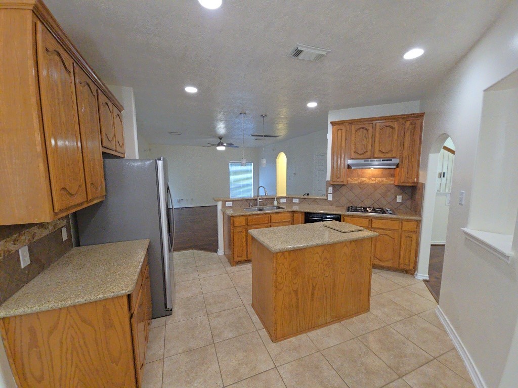 16514 Bluff Springs Drive Property Photo 10