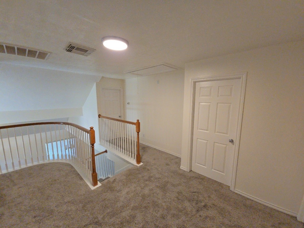 16514 Bluff Springs Drive Property Photo 11