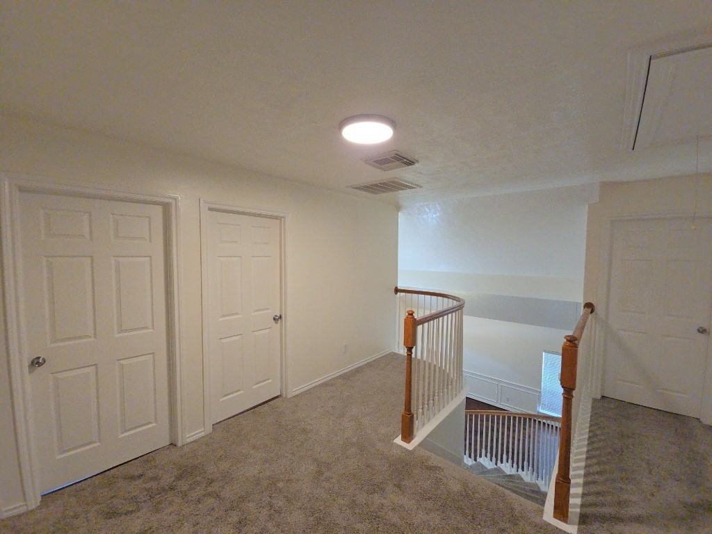16514 Bluff Springs Drive Property Photo 12