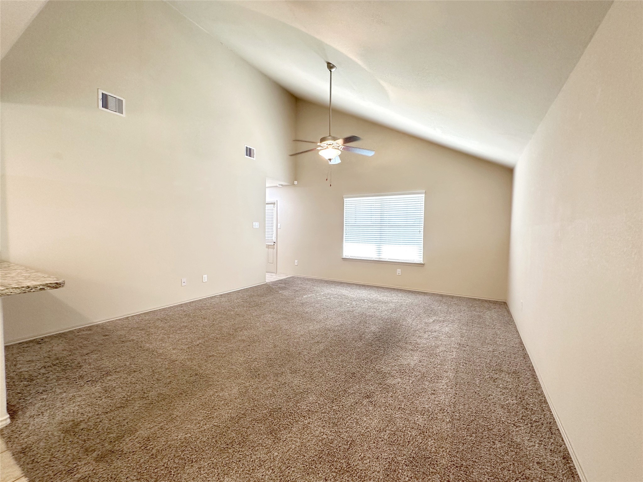 23307 Dukes Run Drive Property Photo 5