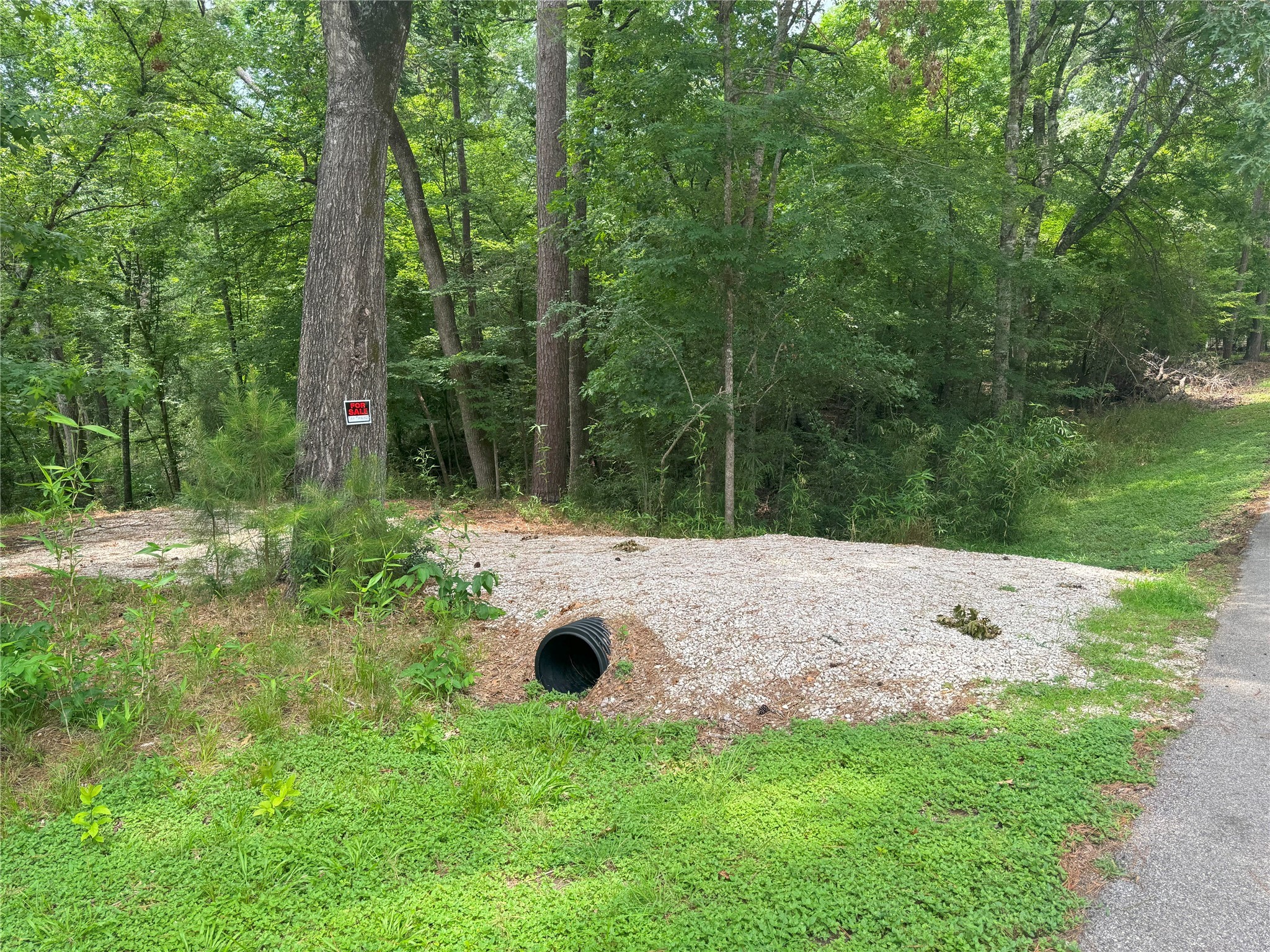 77 S Pine Harbour Drive Property Photo 3