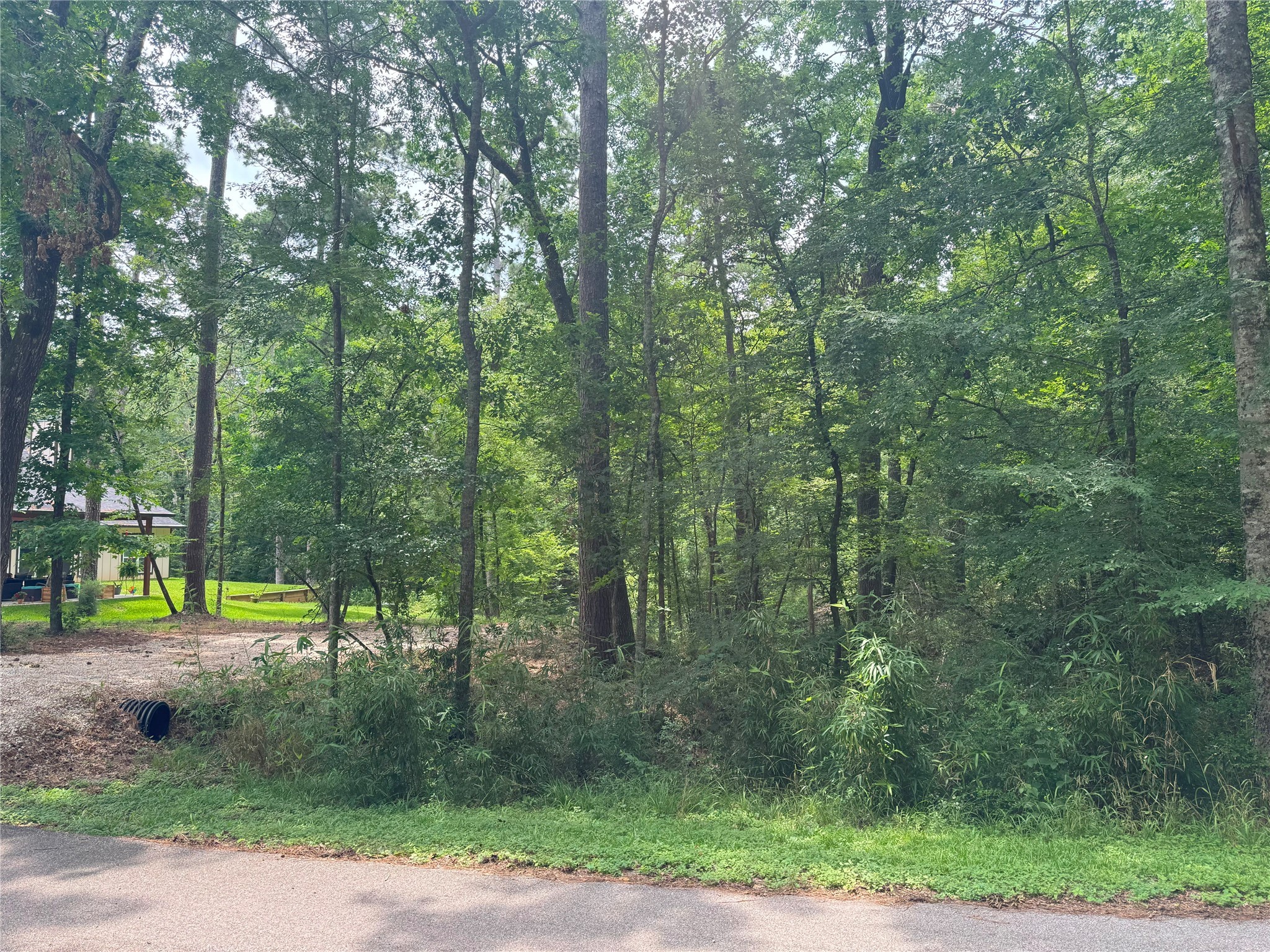 77 S Pine Harbour Drive Property Photo 4