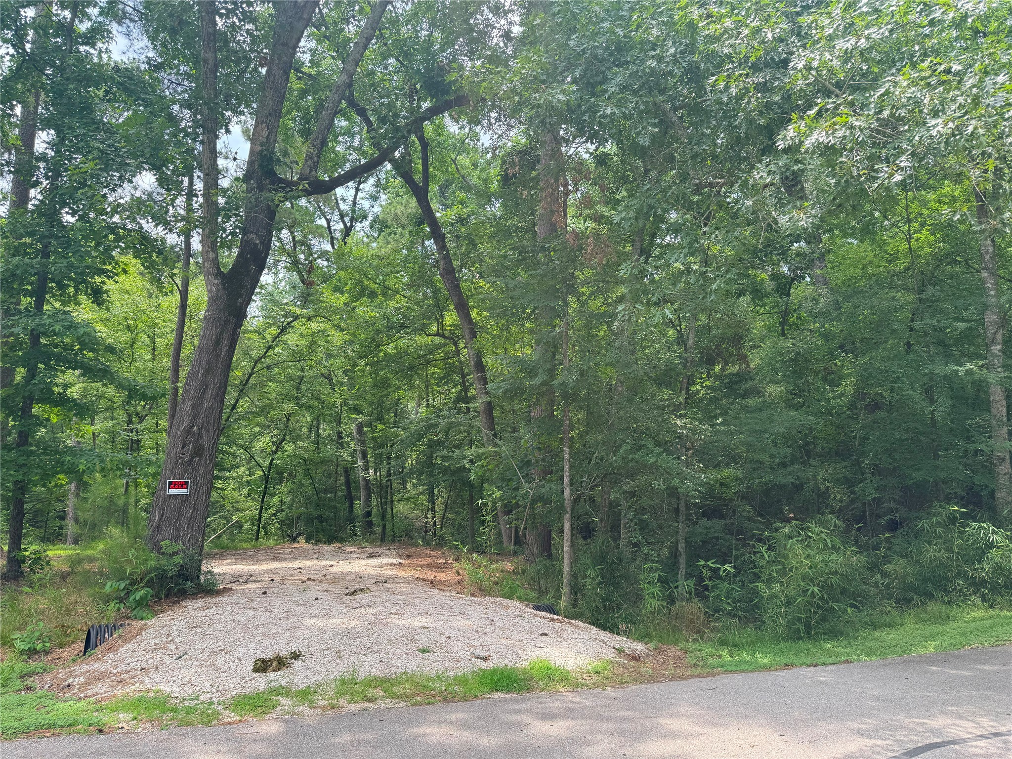77 S Pine Harbour Drive Property Photo 5