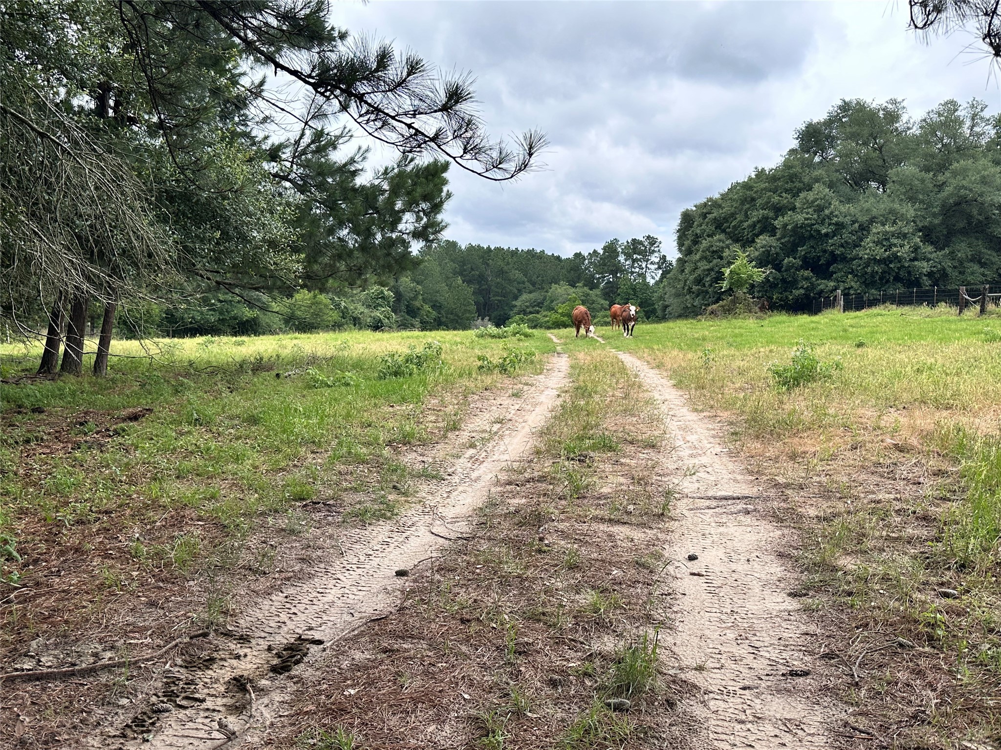1822 Tx-19 S Property Photo 2