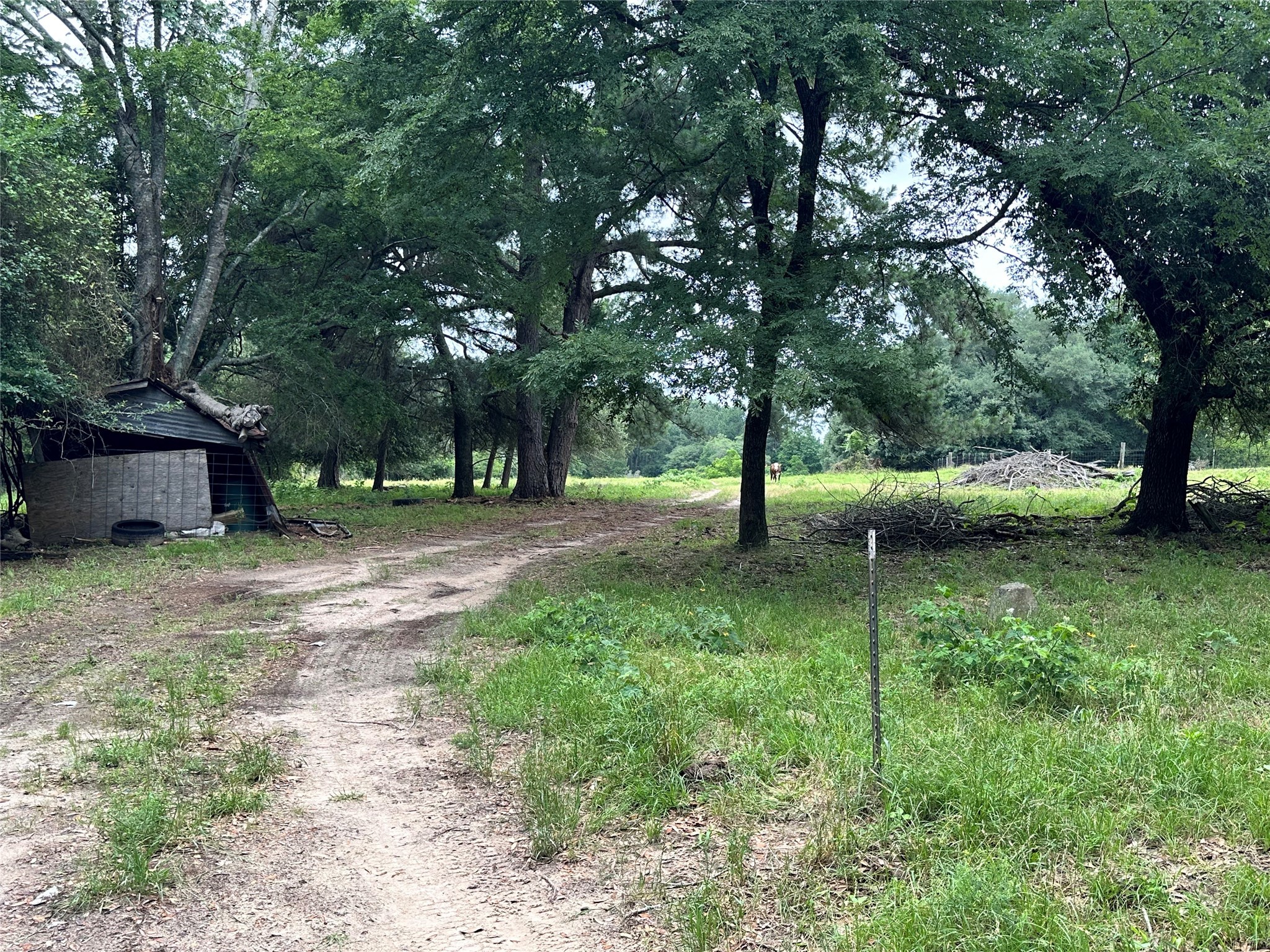 1822 Tx-19 S Property Photo 5