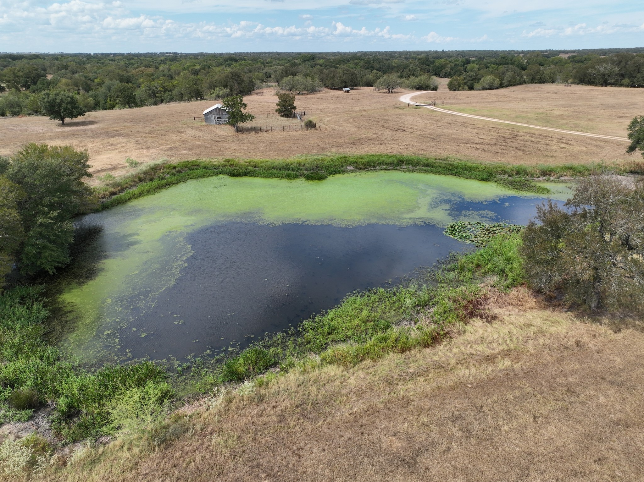 Tbd Cr 127 Property Photo 8
