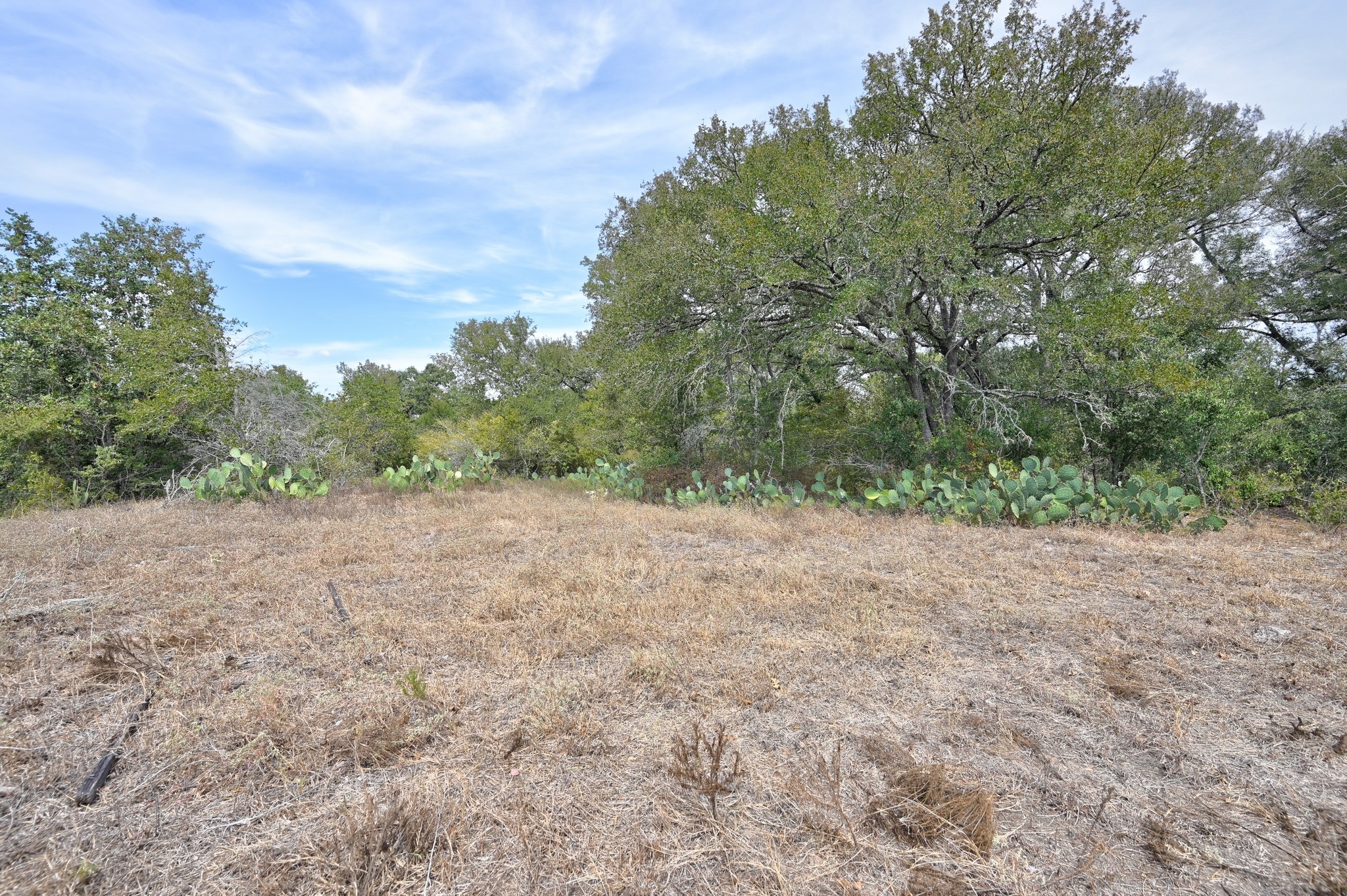 Tbd Cr 127 Property Photo 20