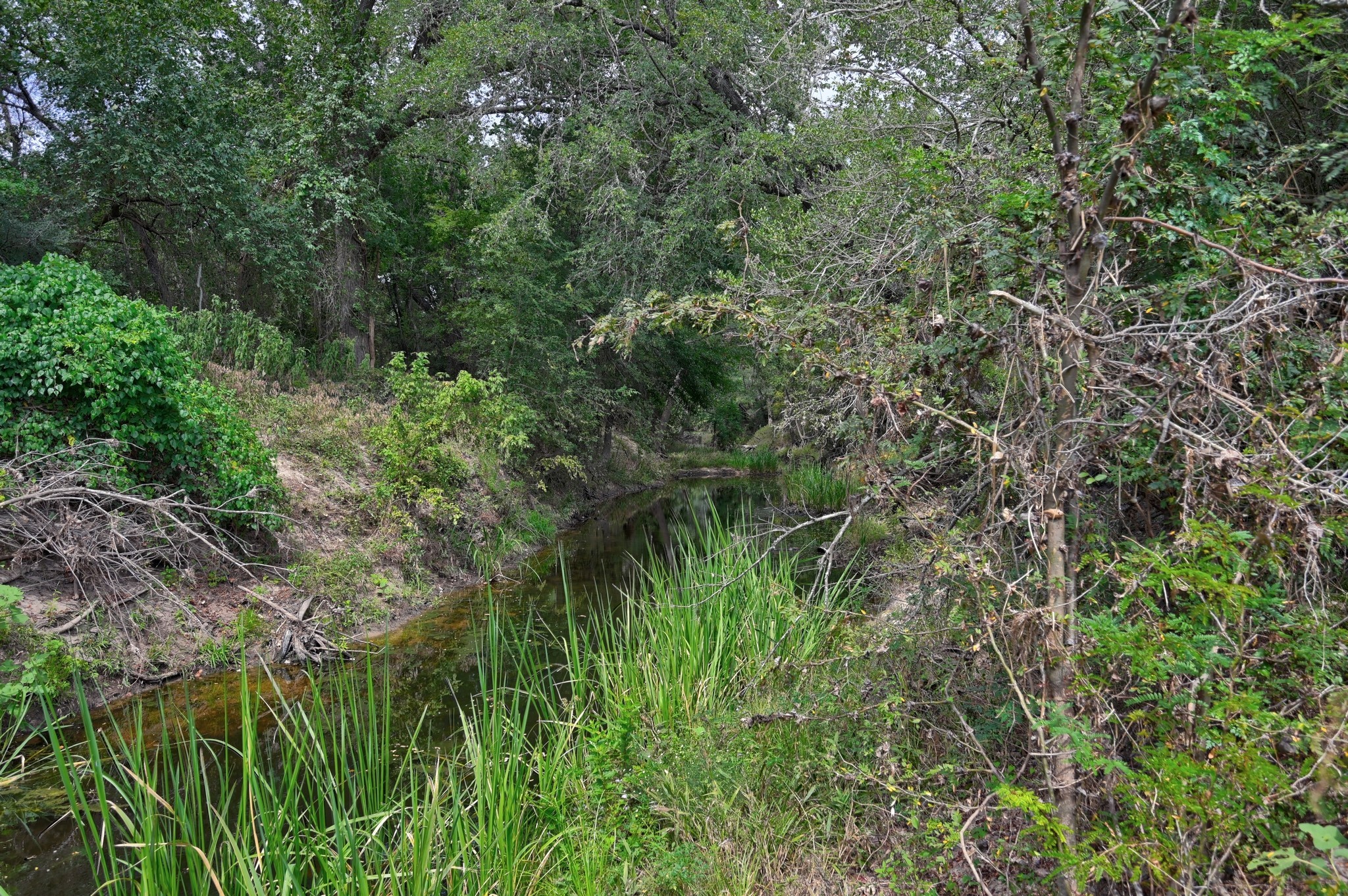 Tbd Cr 127 Property Photo 22