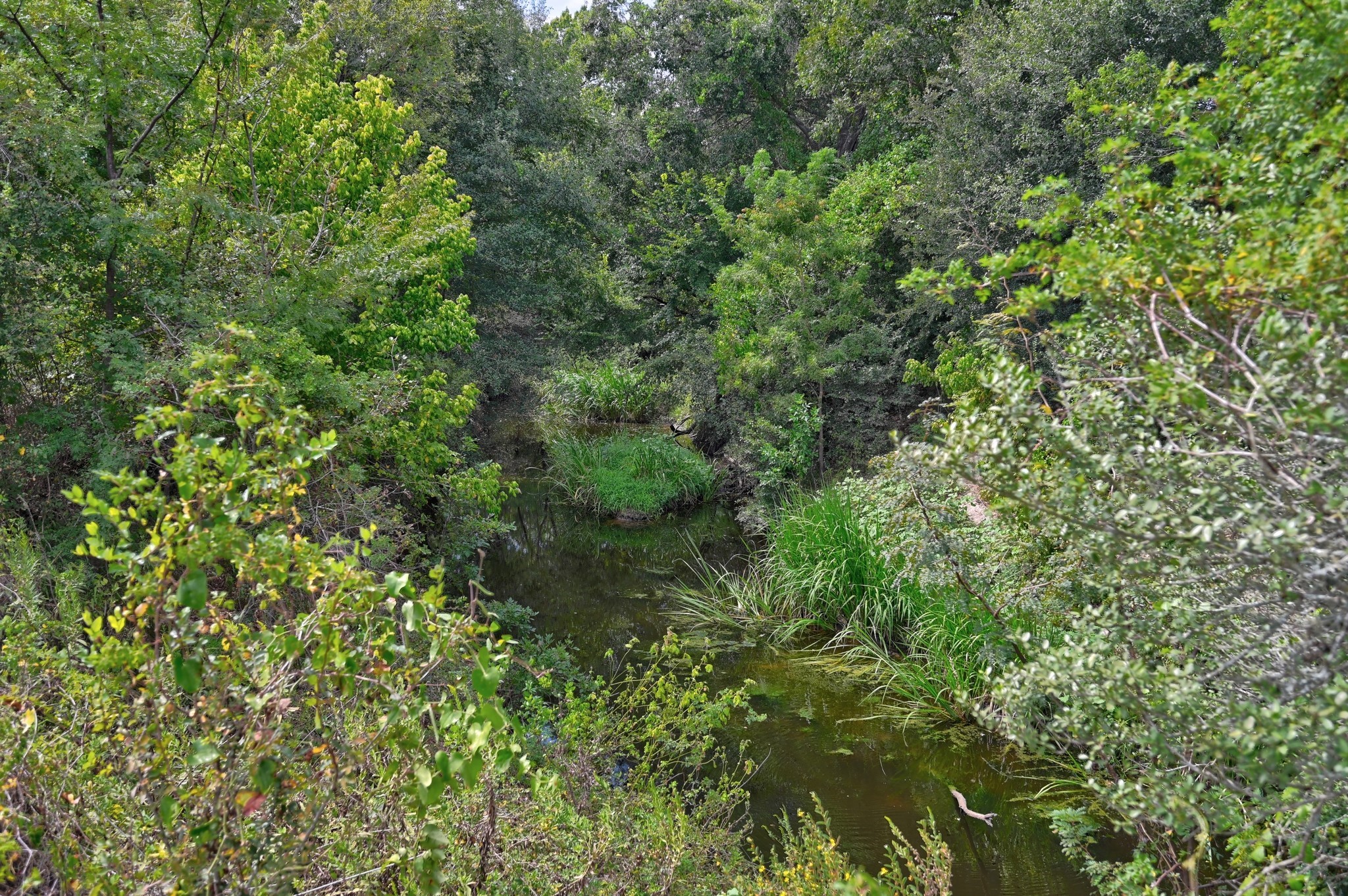 Tbd Cr 127 Property Photo 24