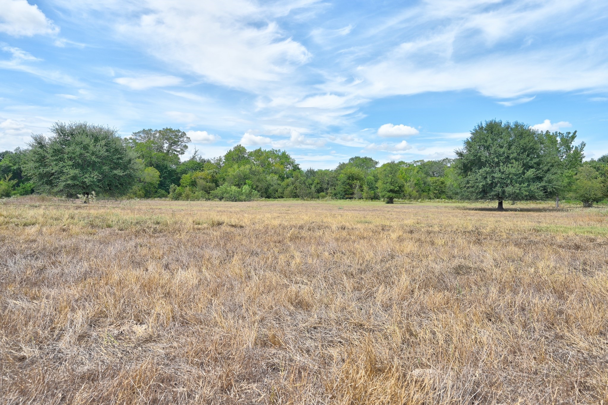 Tbd Cr 127 Property Photo 25