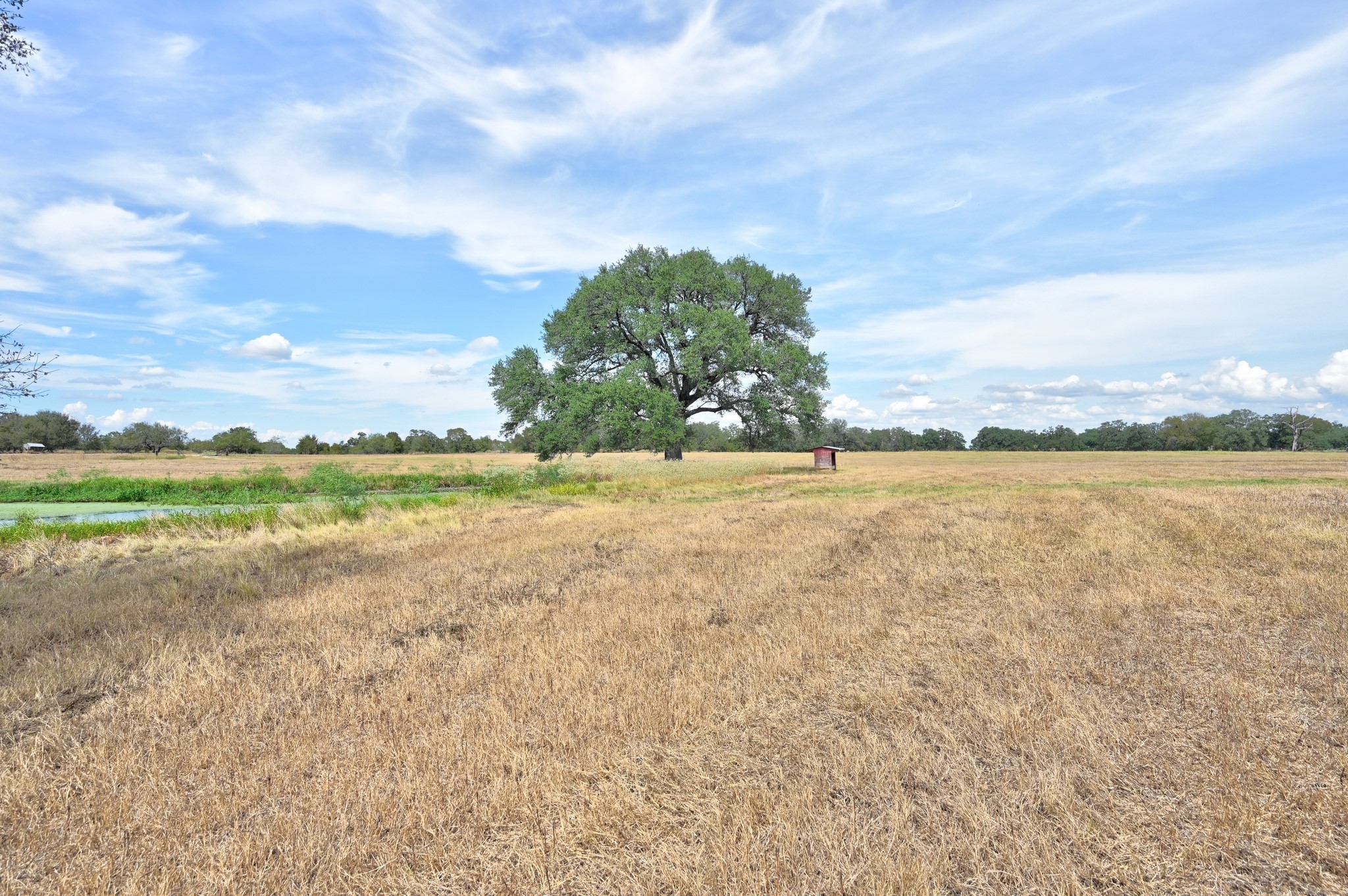 Tbd Cr 127 Property Photo 28