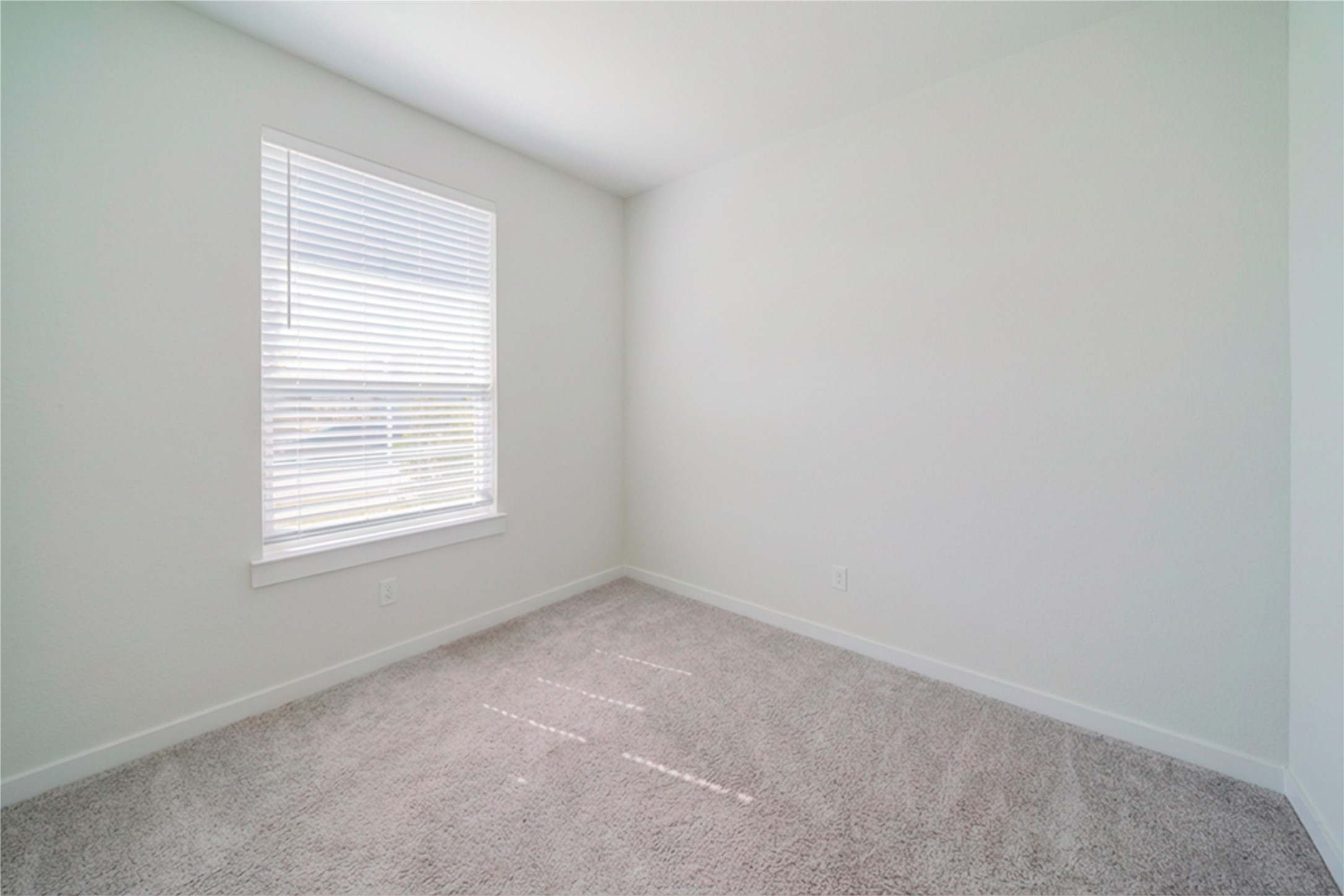 21802 Blue Daisy Court Property Photo 24