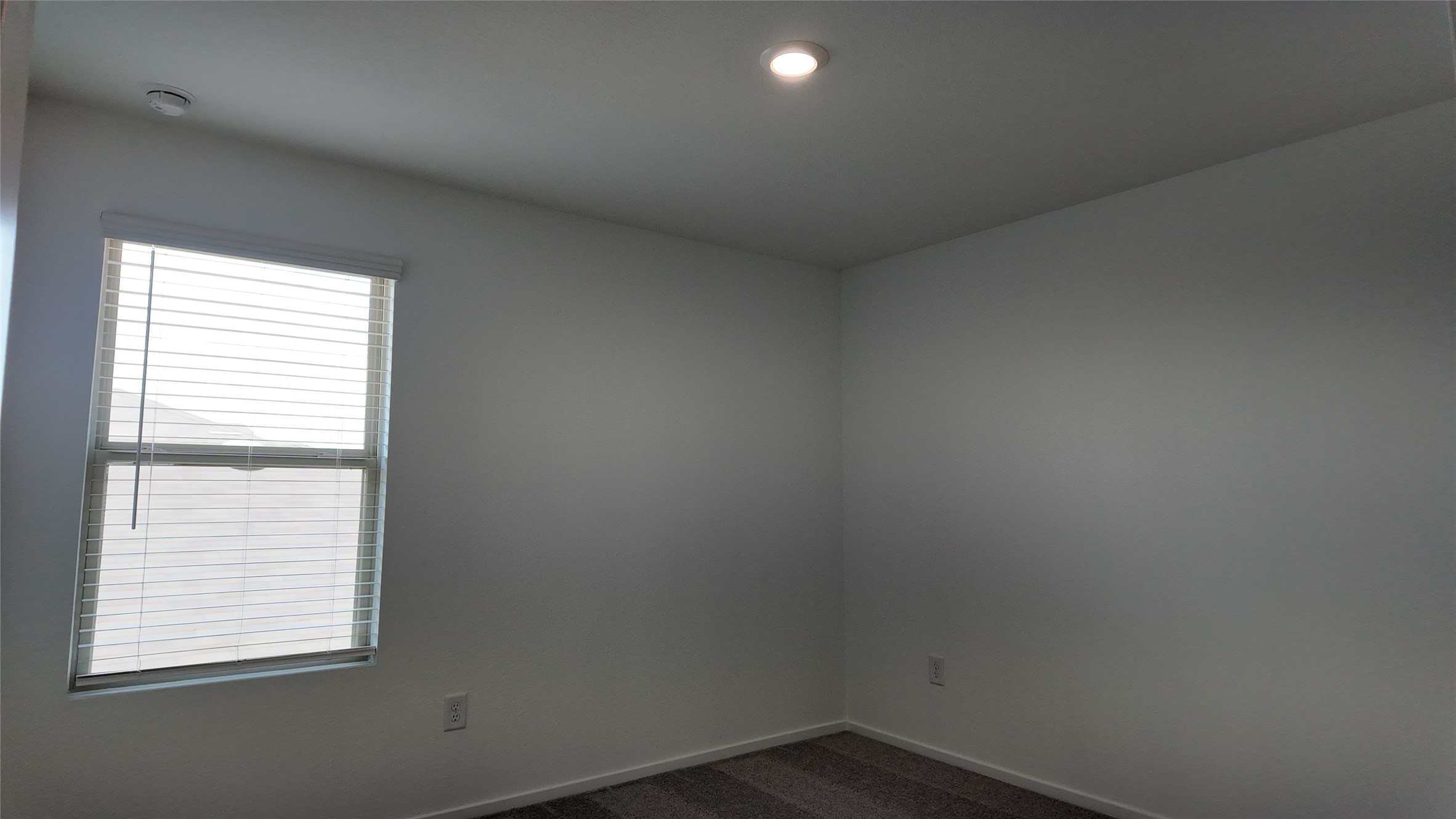 15917 Blass Valley Drive Property Photo 16
