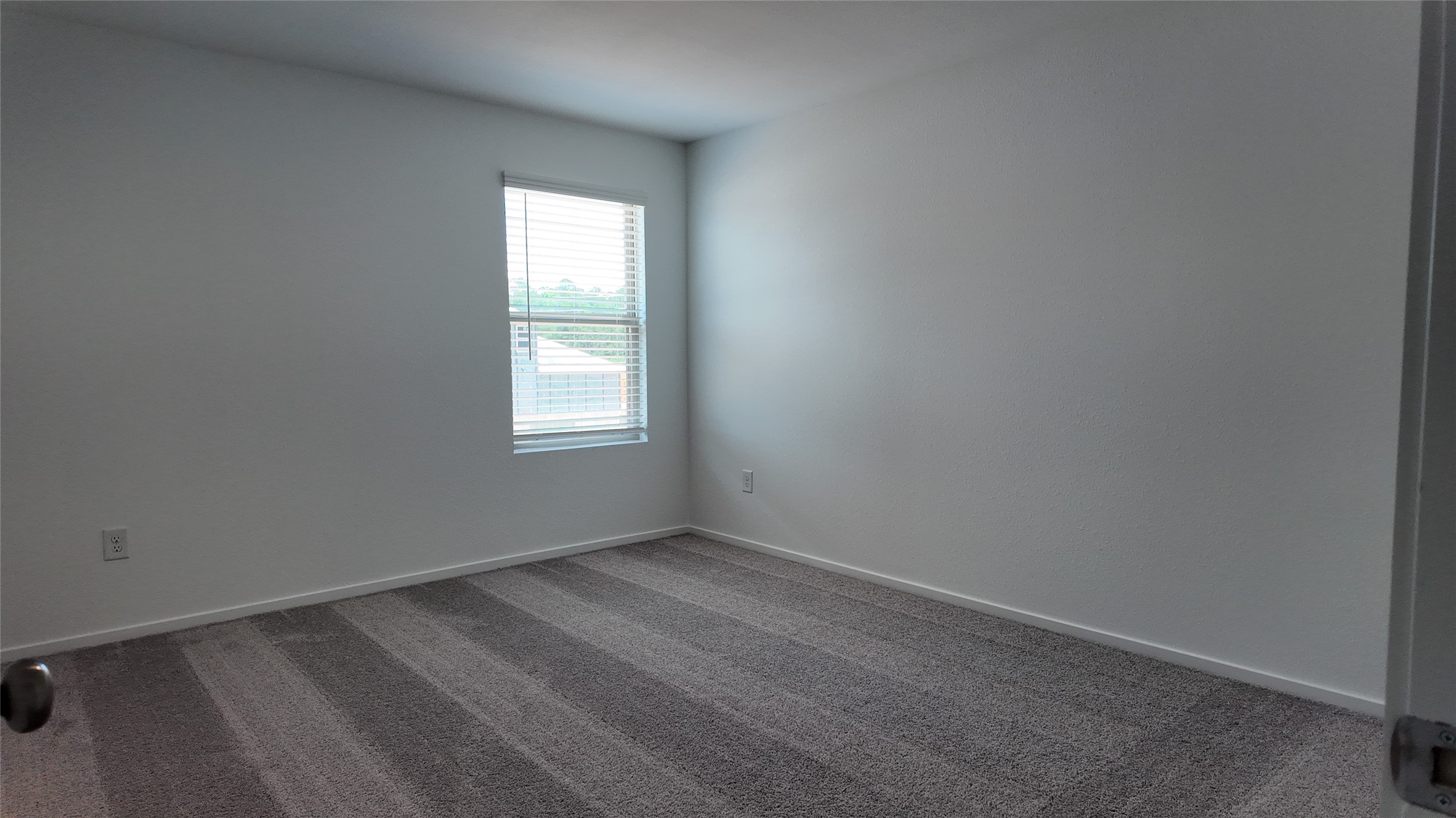 15917 Blass Valley Drive Property Photo 19