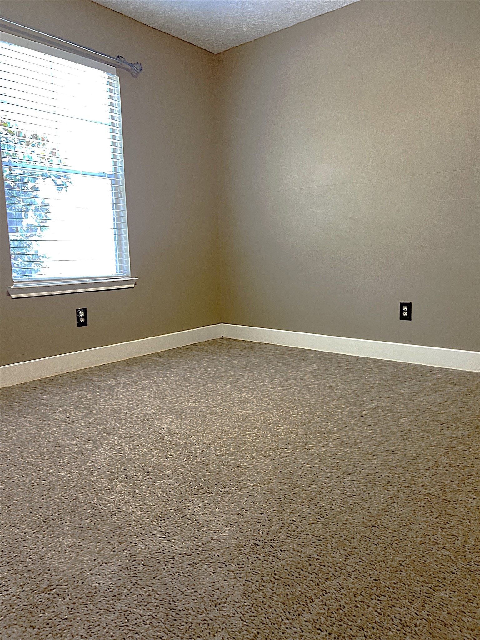 6819 Kingwood Glen Drive Property Photo 29