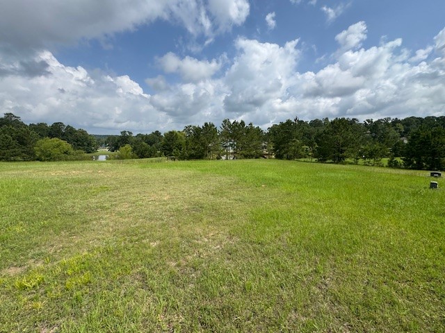 37 Silver Lakes Drive Property Photo 4