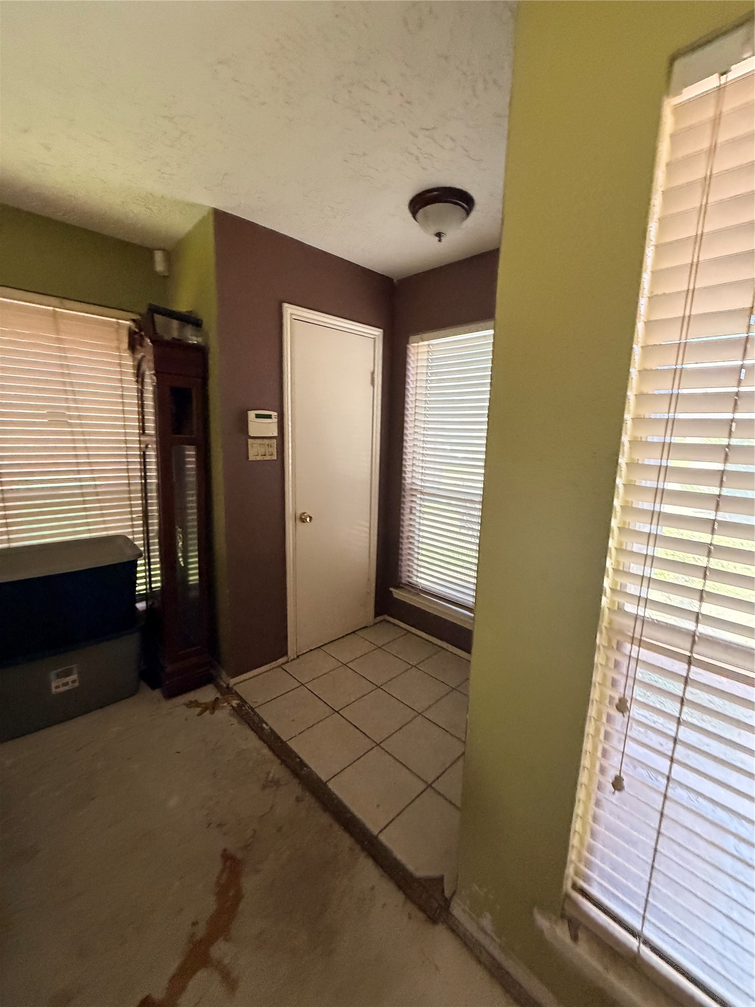 8518 Scenic Green Drive Property Photo 8