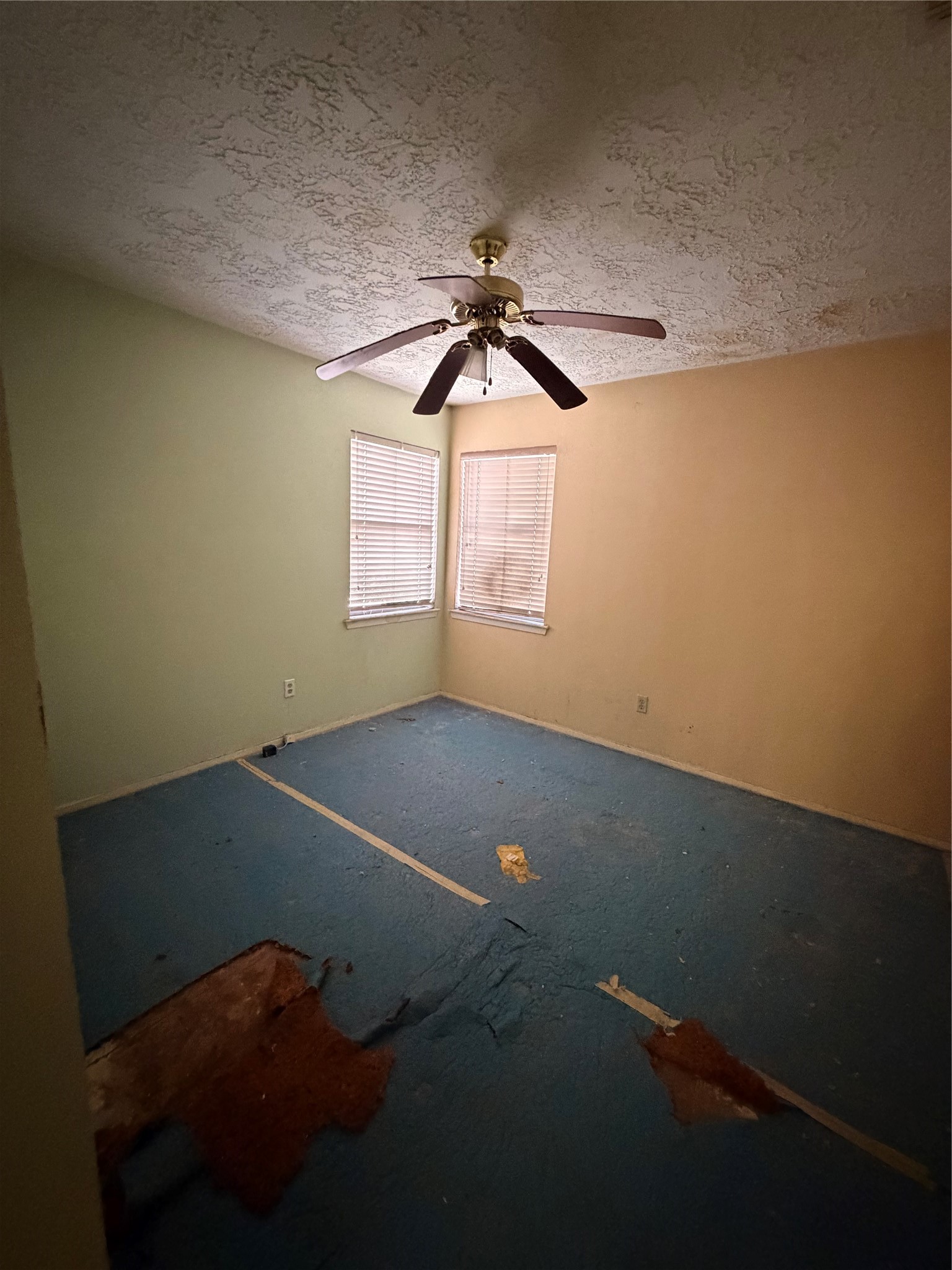 8518 Scenic Green Drive Property Photo 22