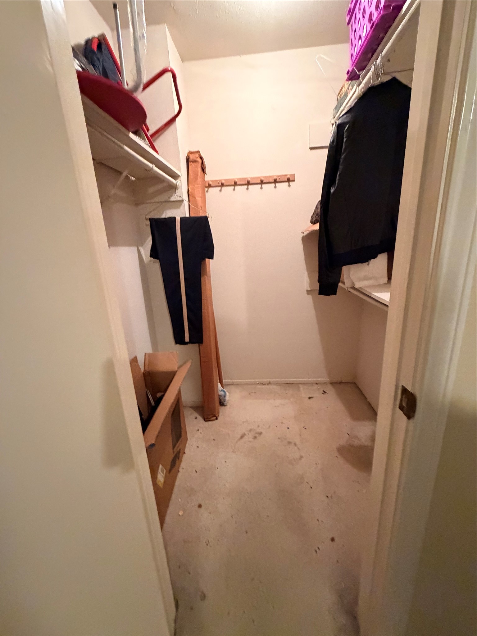 8518 Scenic Green Drive Property Photo 23