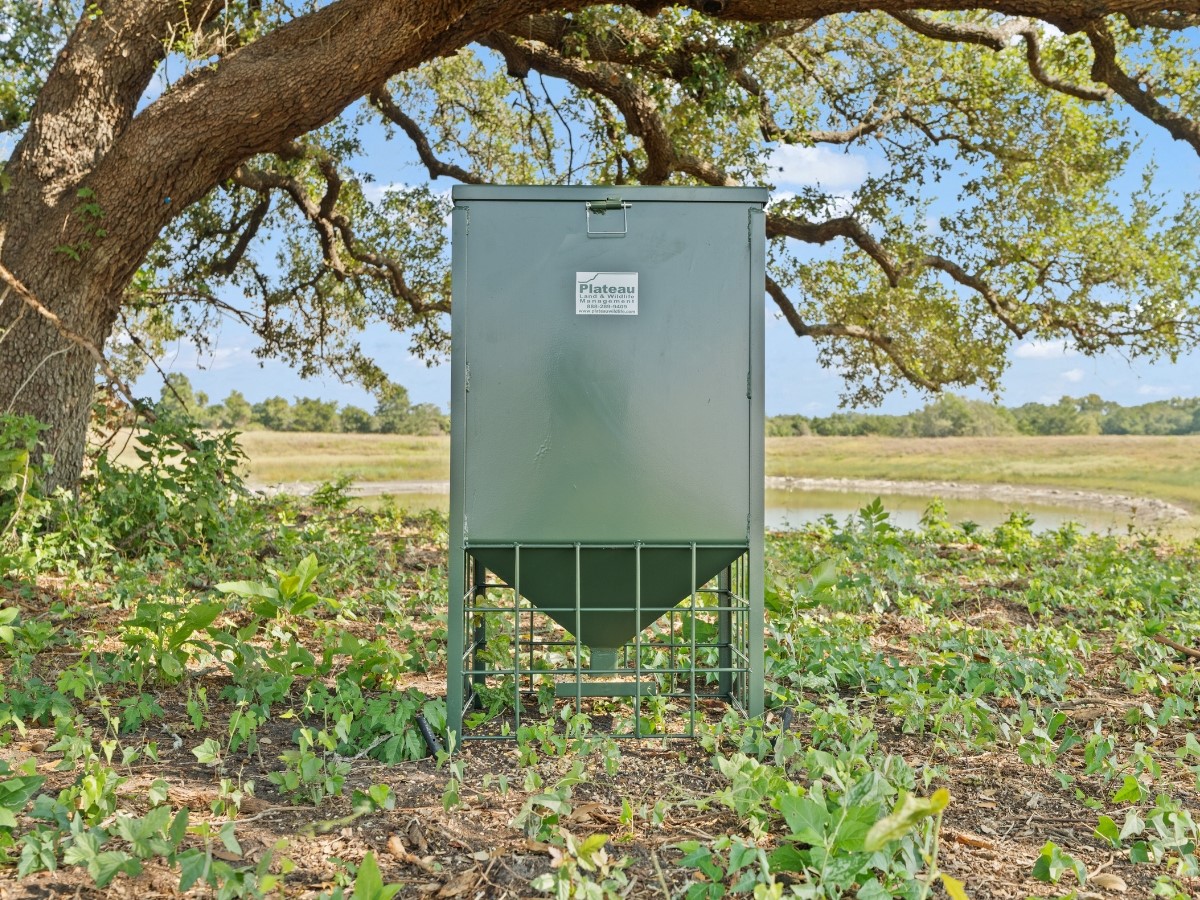 2961 Fm 956 Property Photo 17