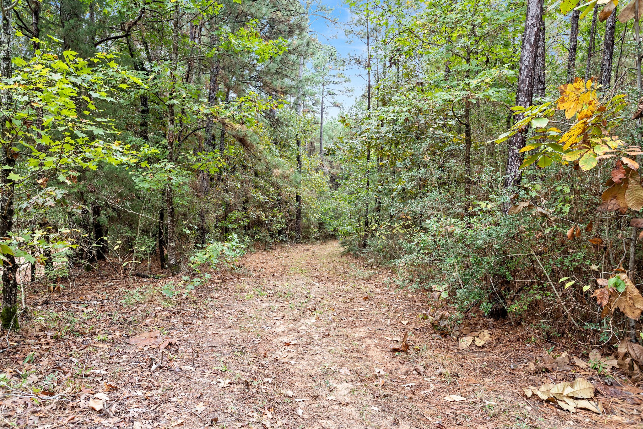 610 Private Road 5130 Property Photo 45