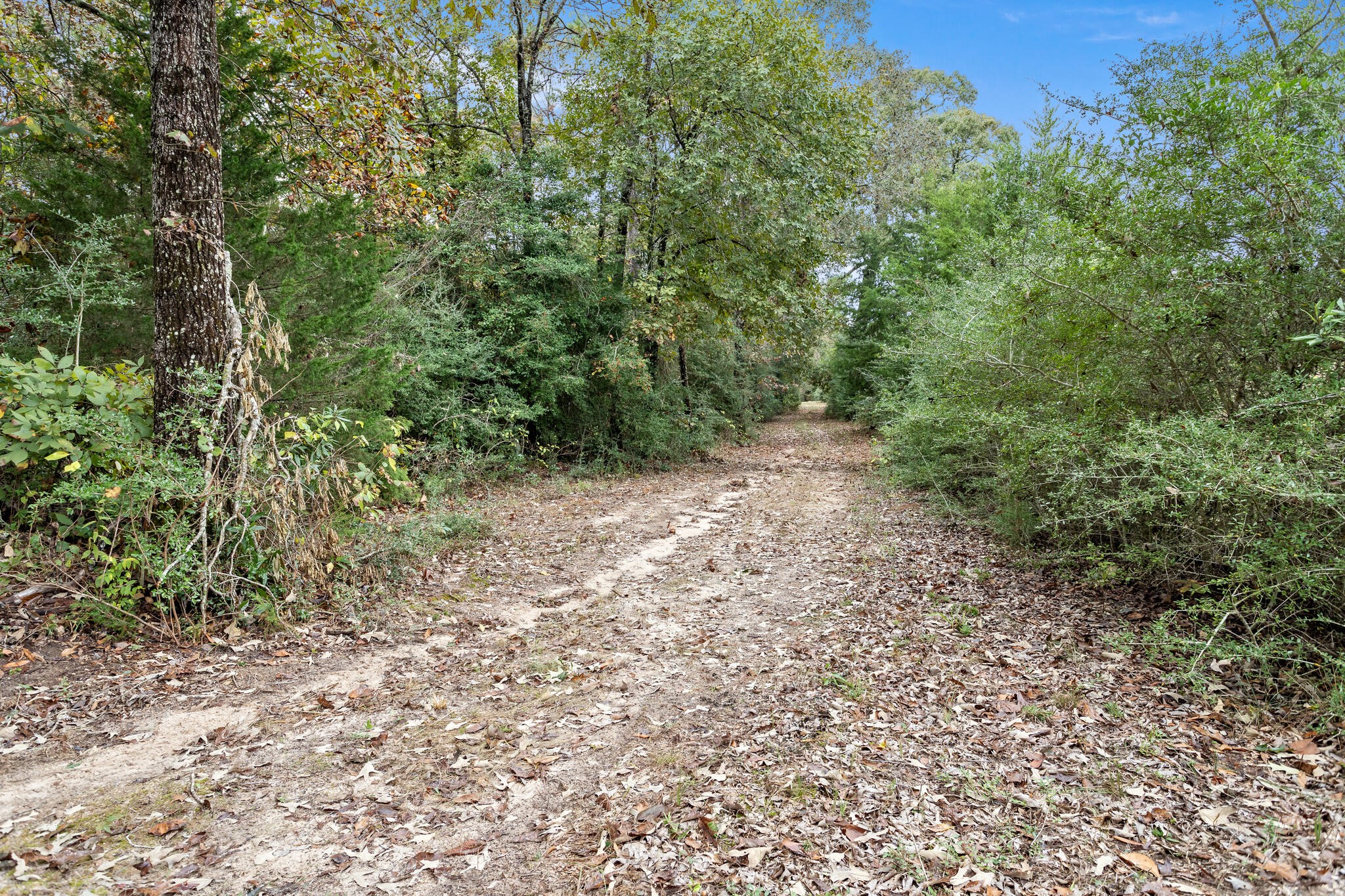 610 Private Road 5130 Property Photo 46
