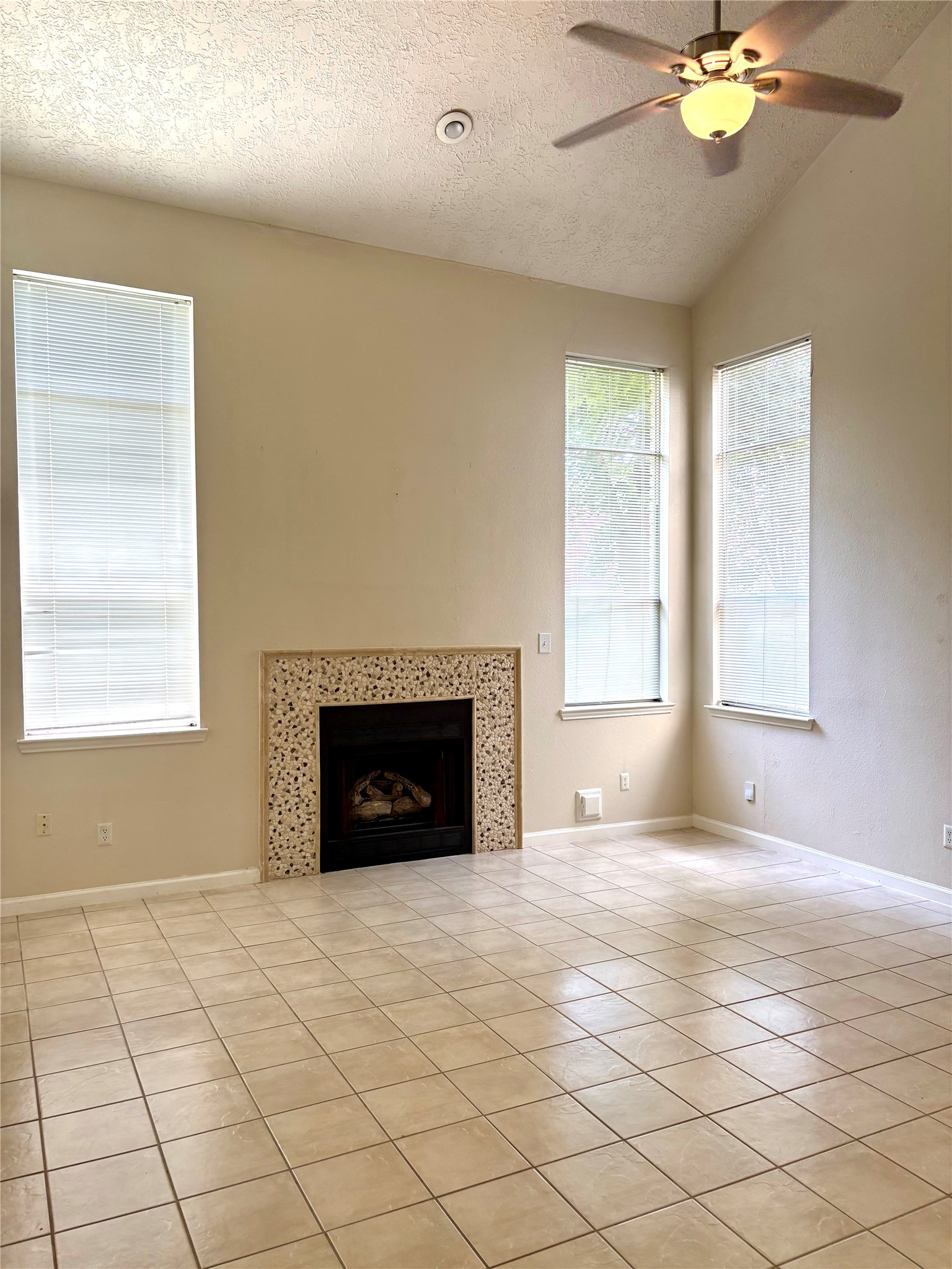 12311 Hamsfield Court Property Photo 3