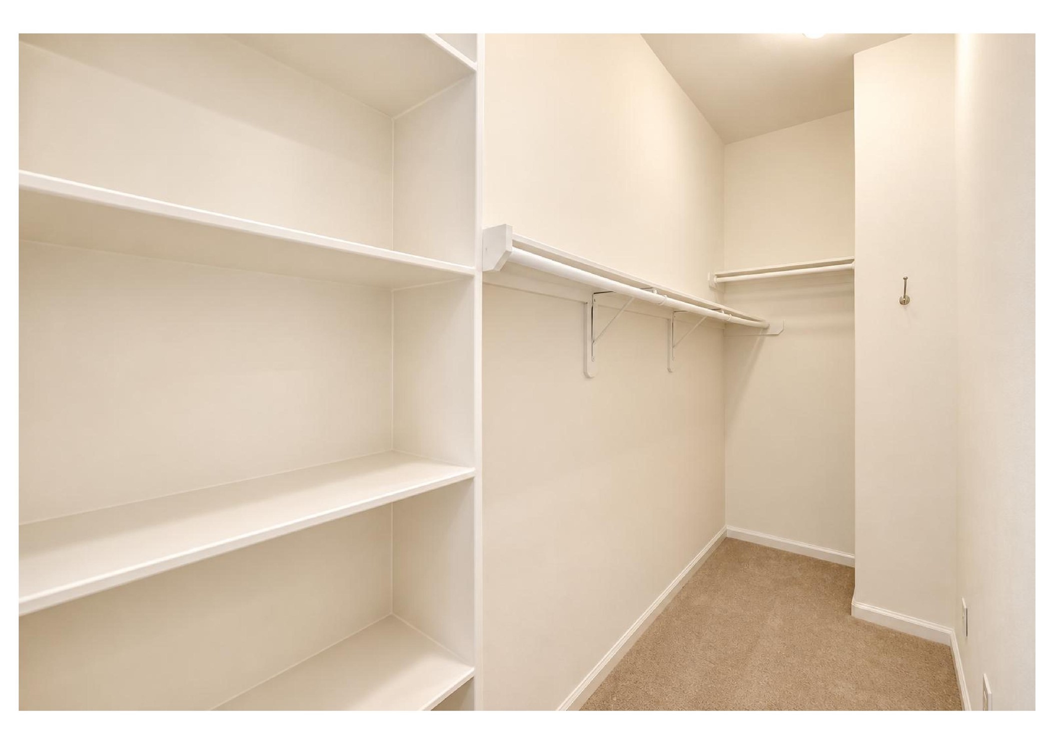 802 Waverly Street C Property Photo 20