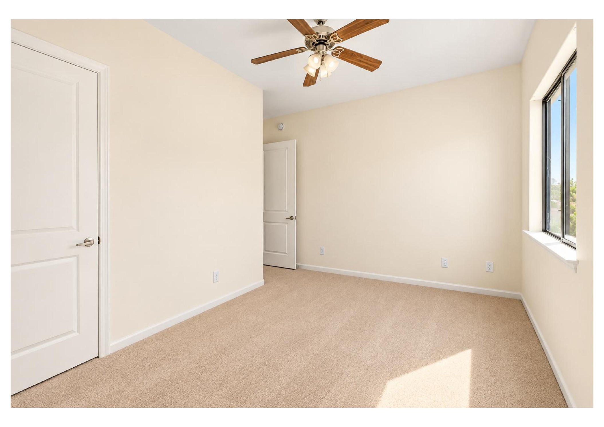 802 Waverly Street C Property Photo 25