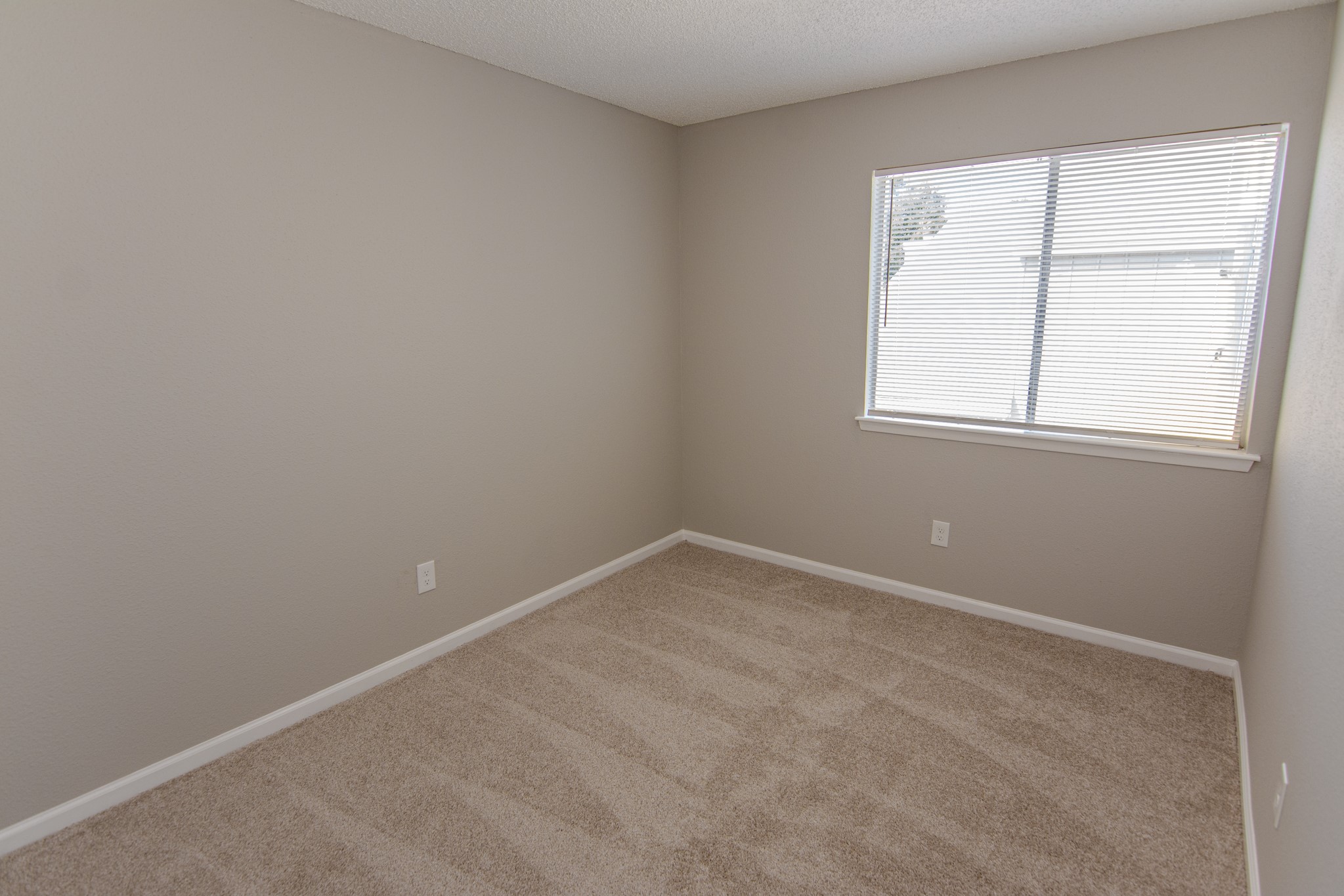 12973 Wirevine Lane Property Photo 17