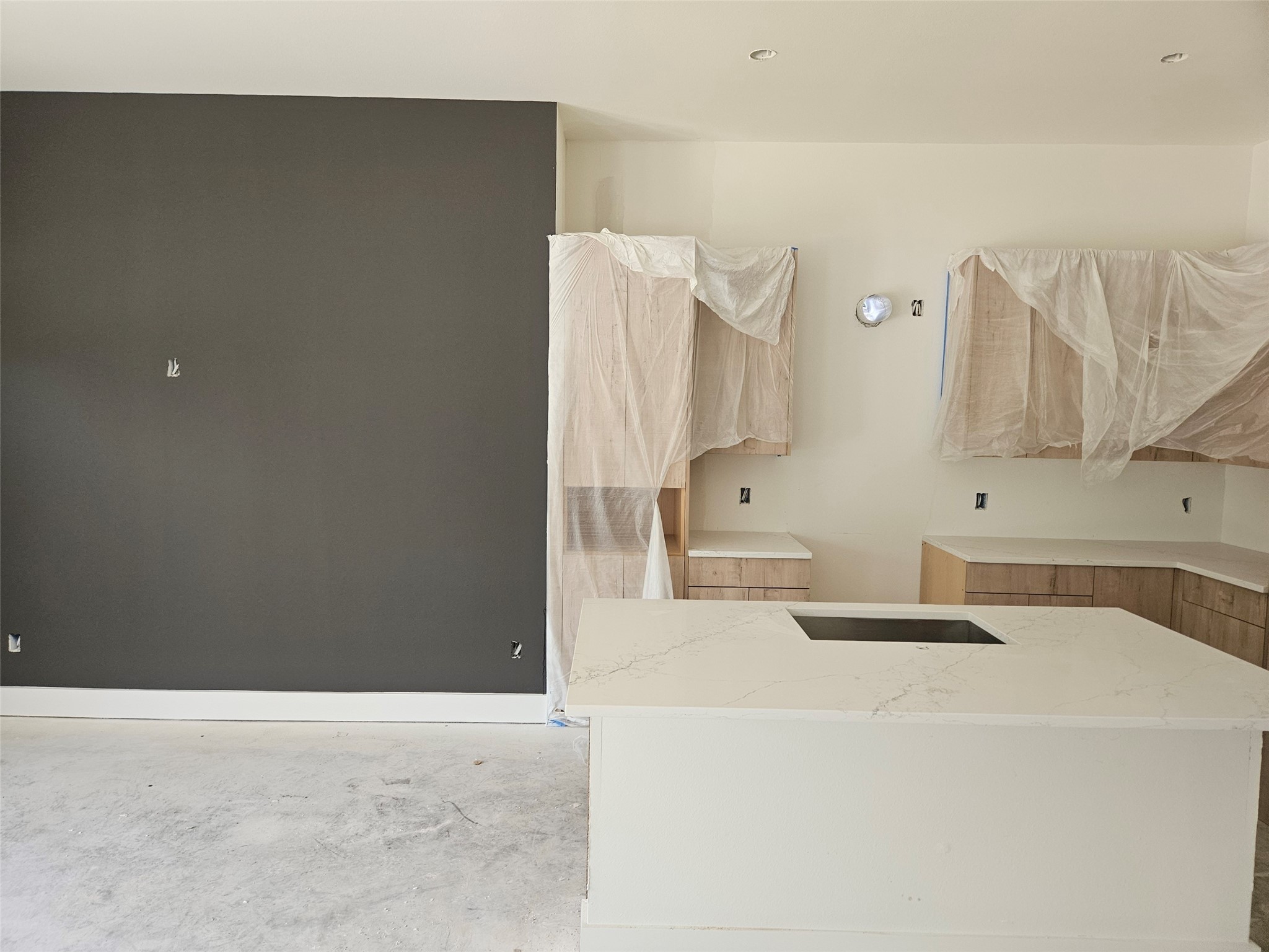 2807 Peacock Green Way Property Photo 8