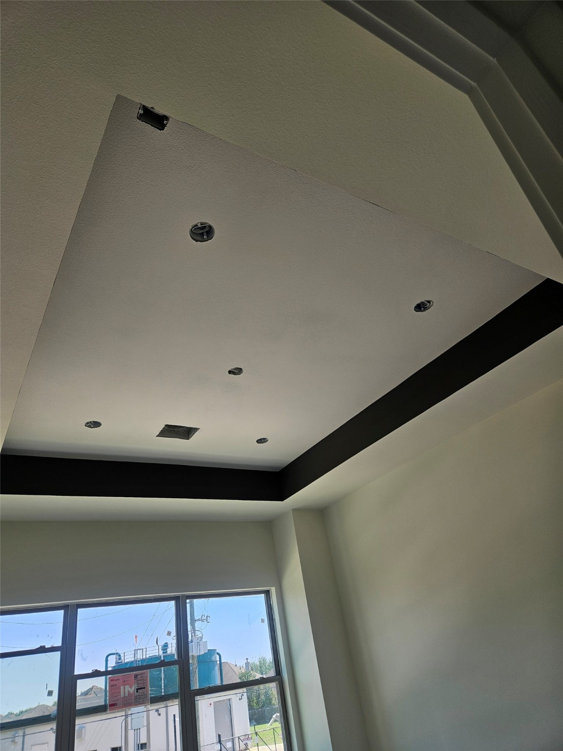 2807 Peacock Green Way Property Photo 10