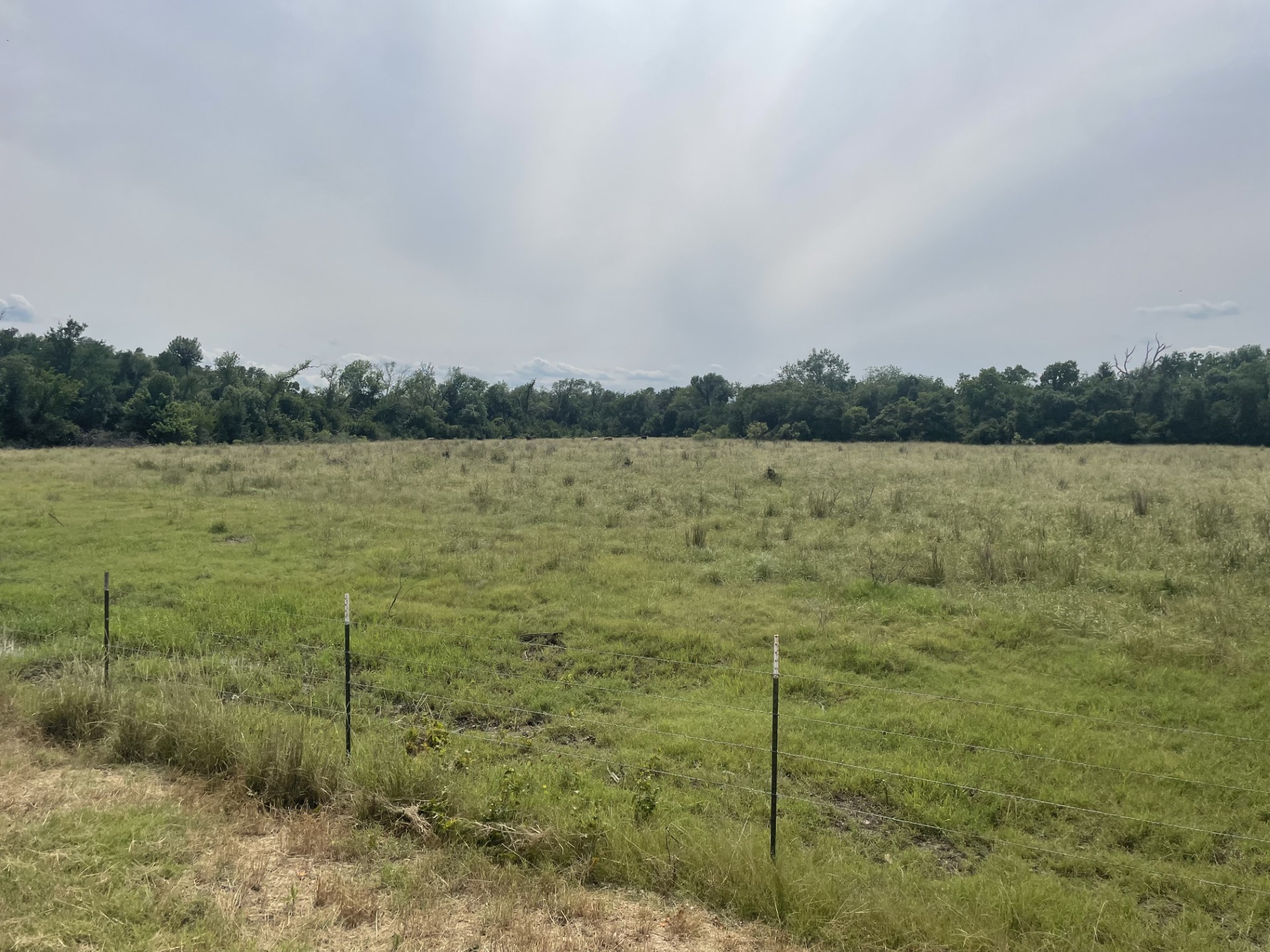 Tbd Donahoe Road Property Photo 3