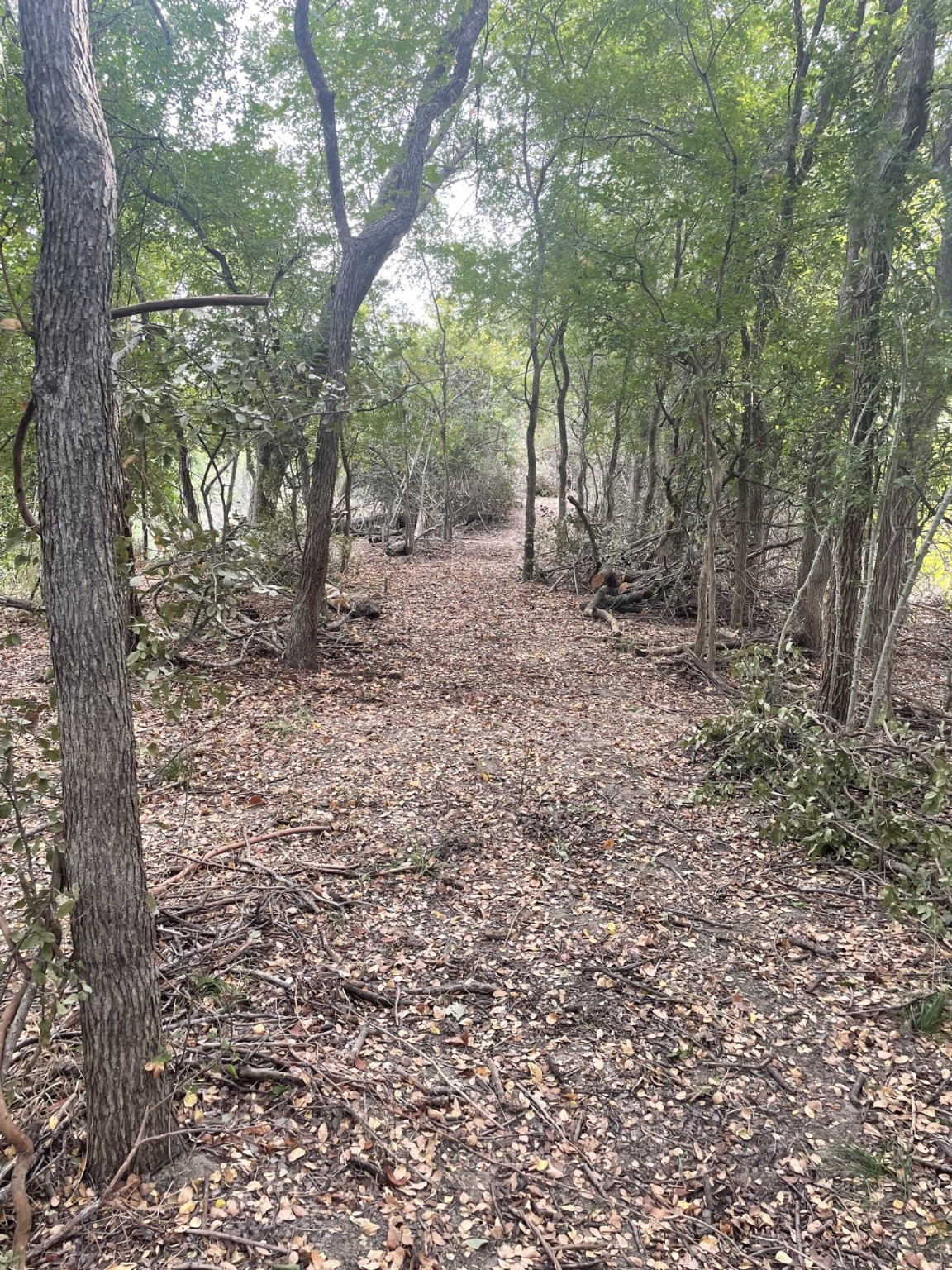 Tbd Donahoe Road Property Photo 7