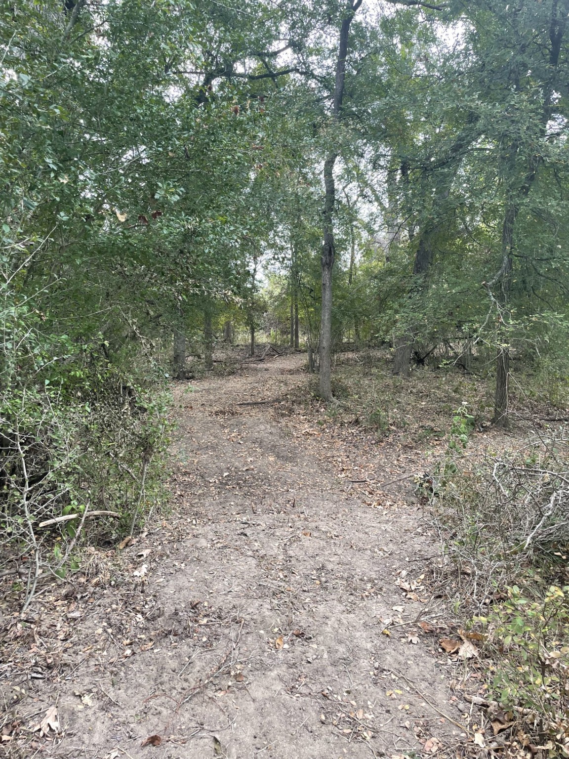 Tbd Donahoe Road Property Photo 8