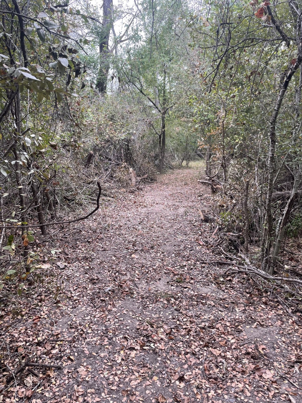 Tbd Donahoe Road Property Photo 11