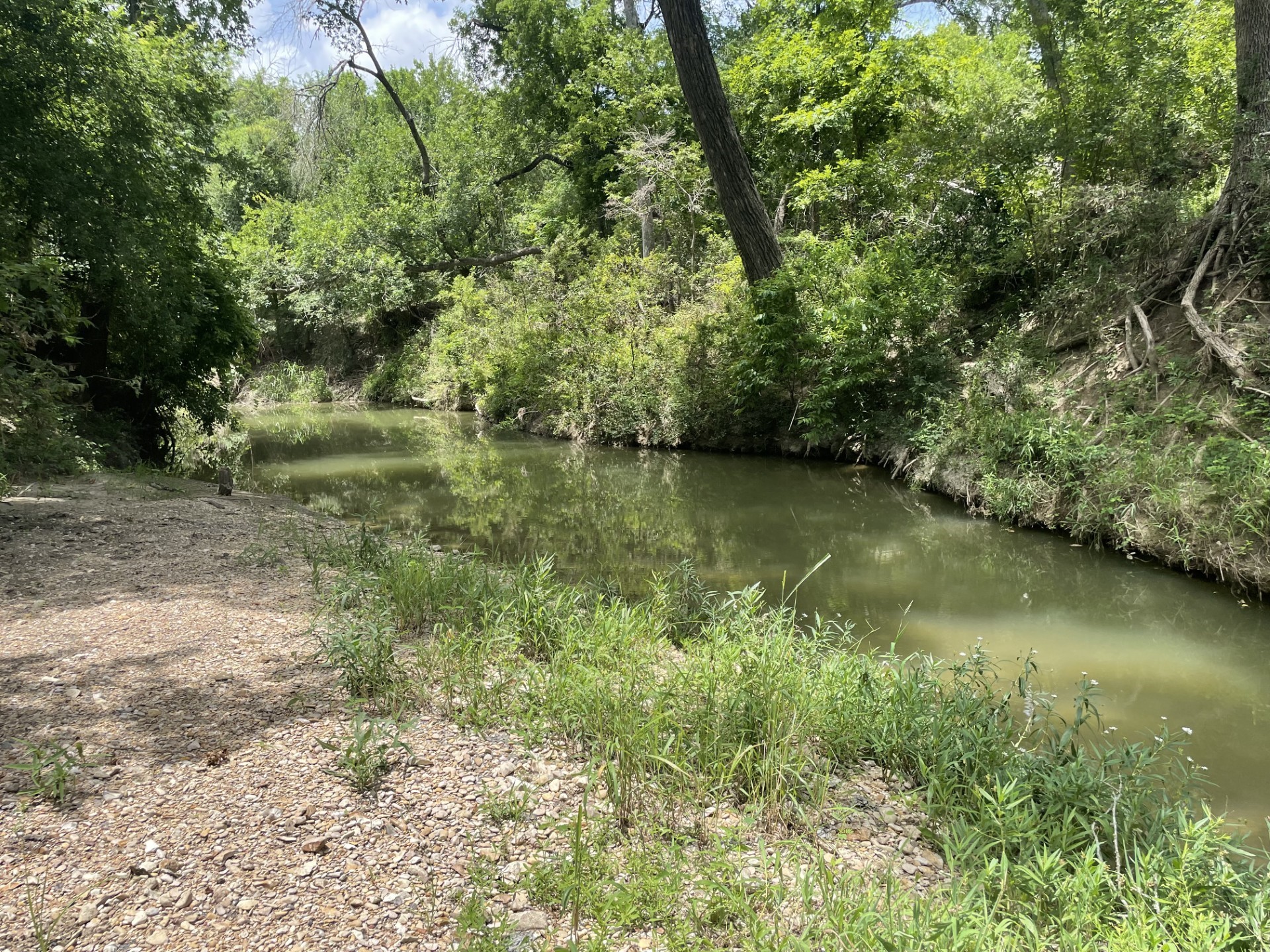 Tbd Donahoe Road Property Photo 16