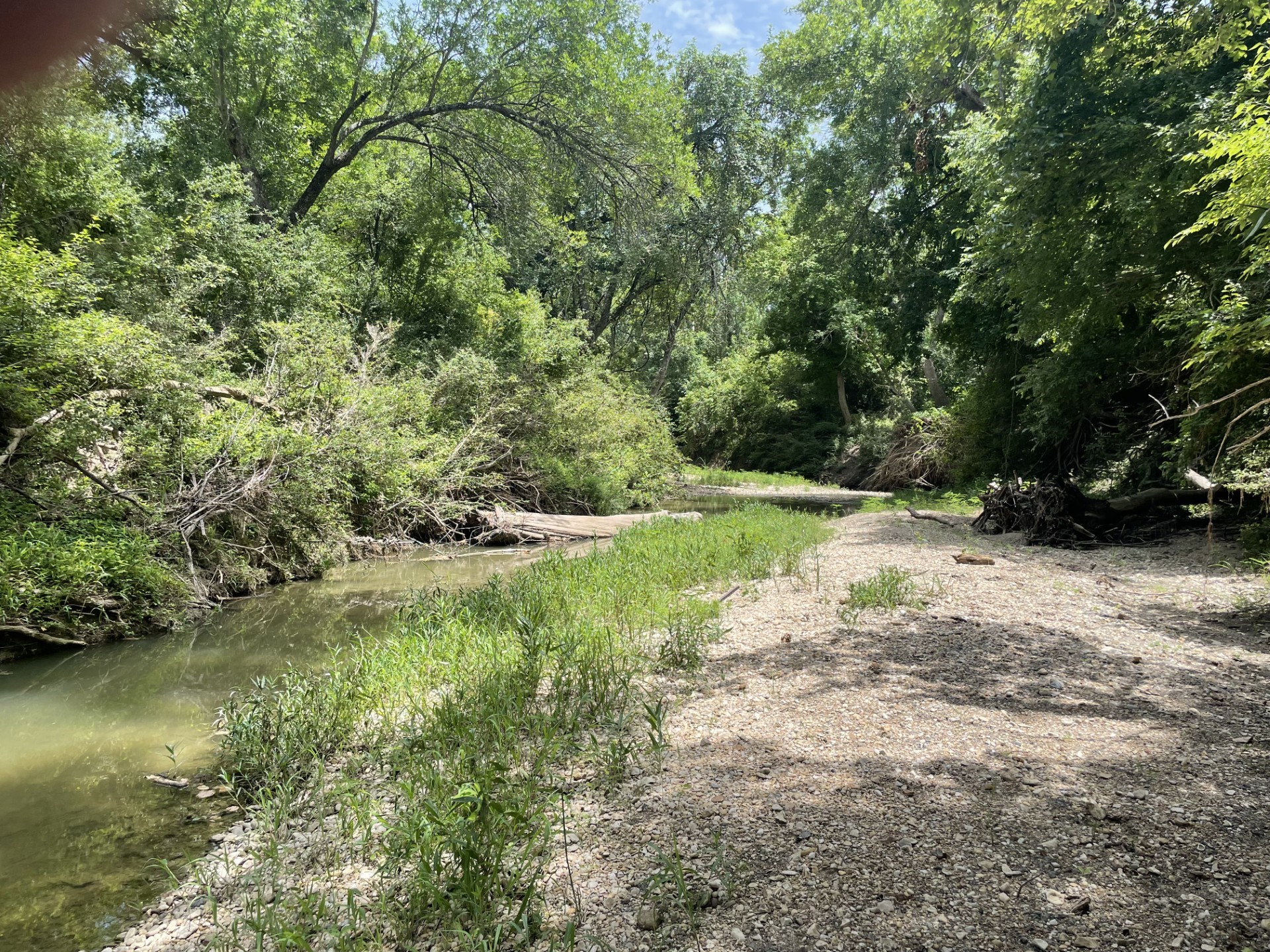 Tbd Donahoe Road Property Photo 19