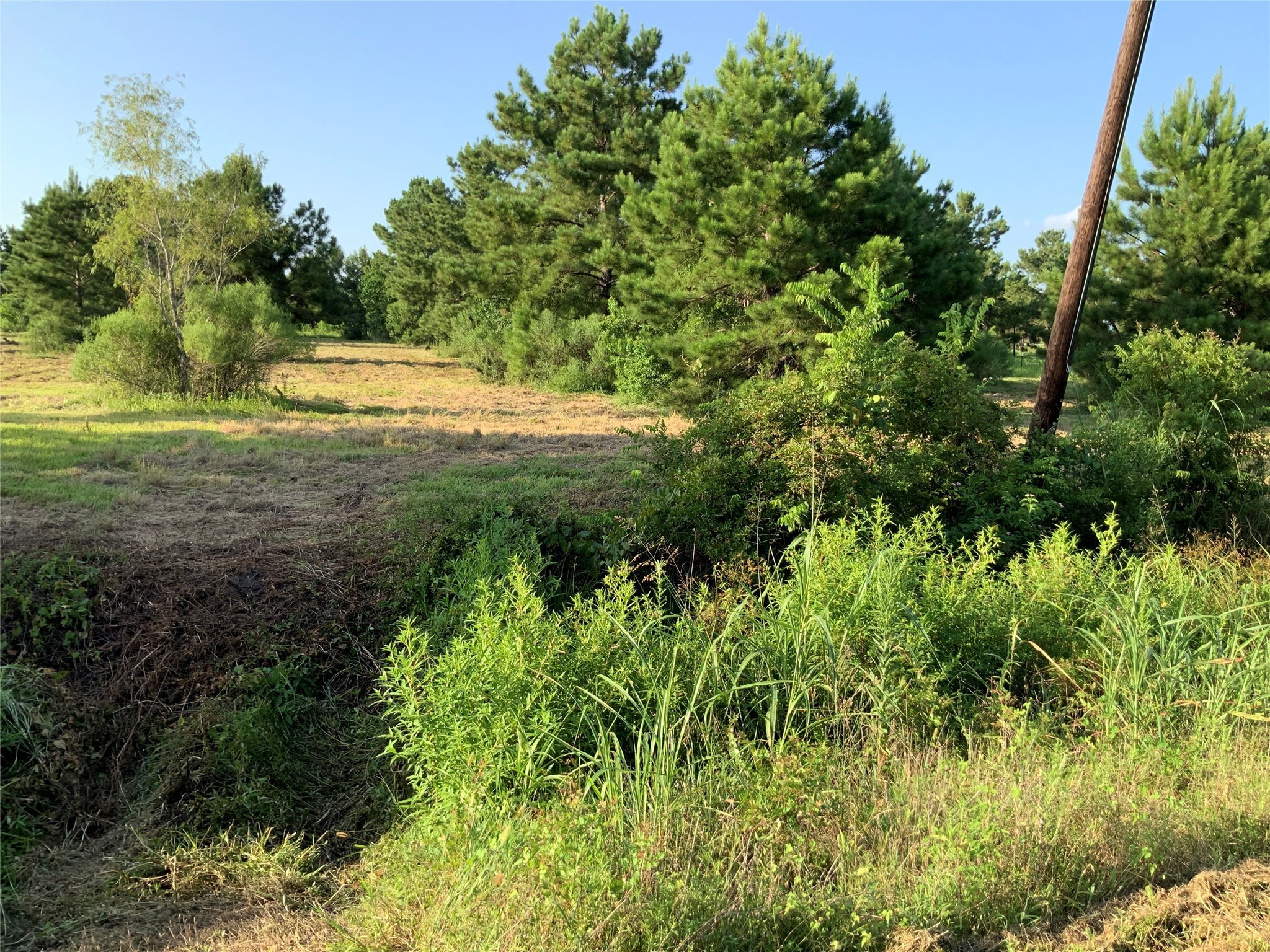 0 Fm-686 Lot 2 Property Photo 3