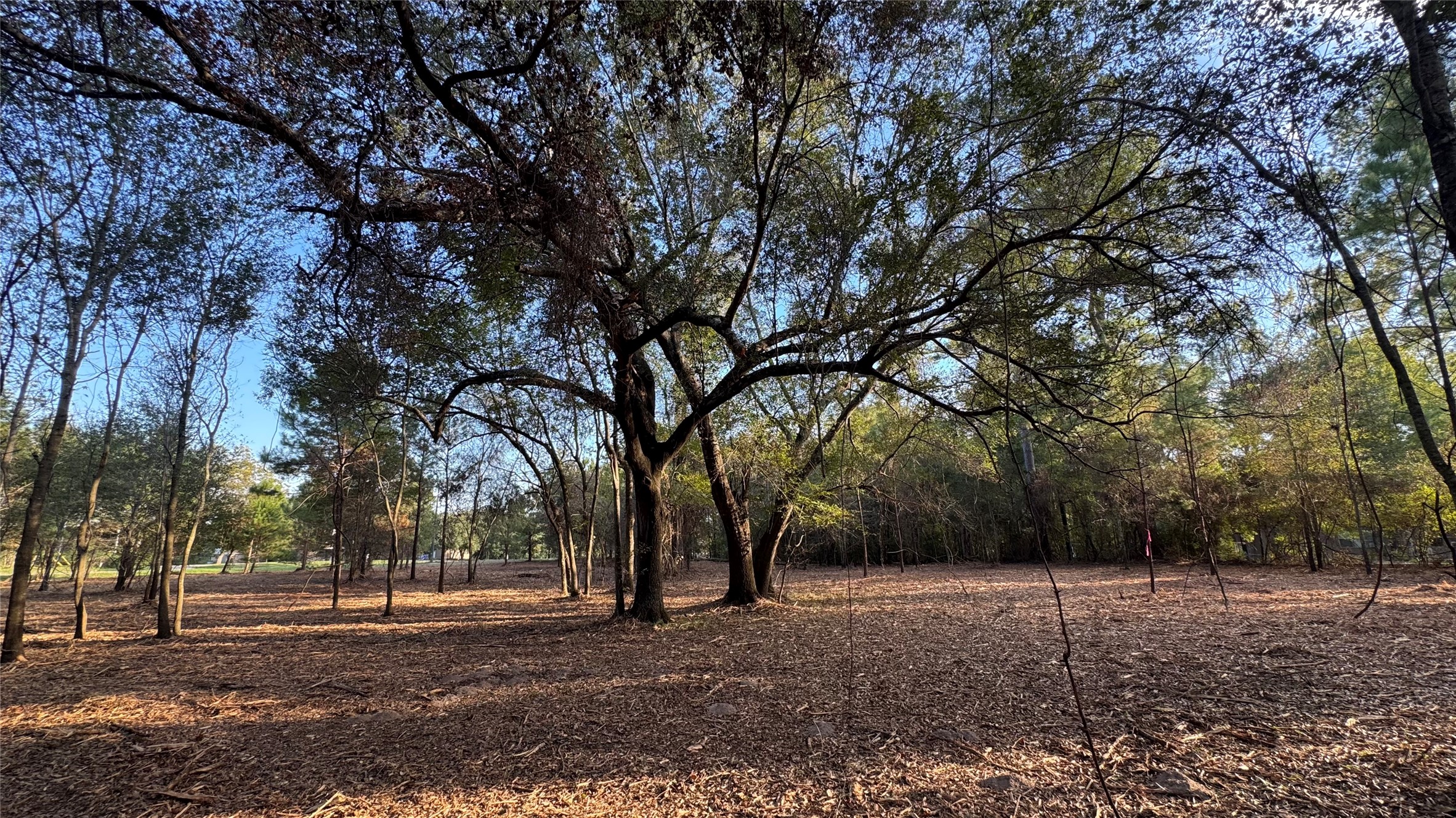 Tbd Fm 1791 Property Photo 1