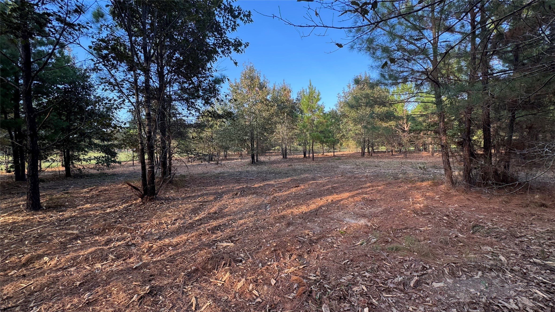 Tbd Fm 1791 Property Photo 2