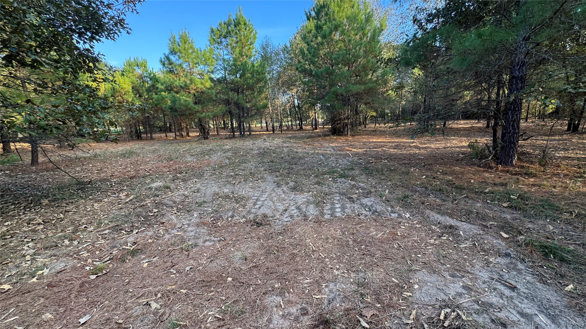 Tbd Fm 1791 Property Photo 4